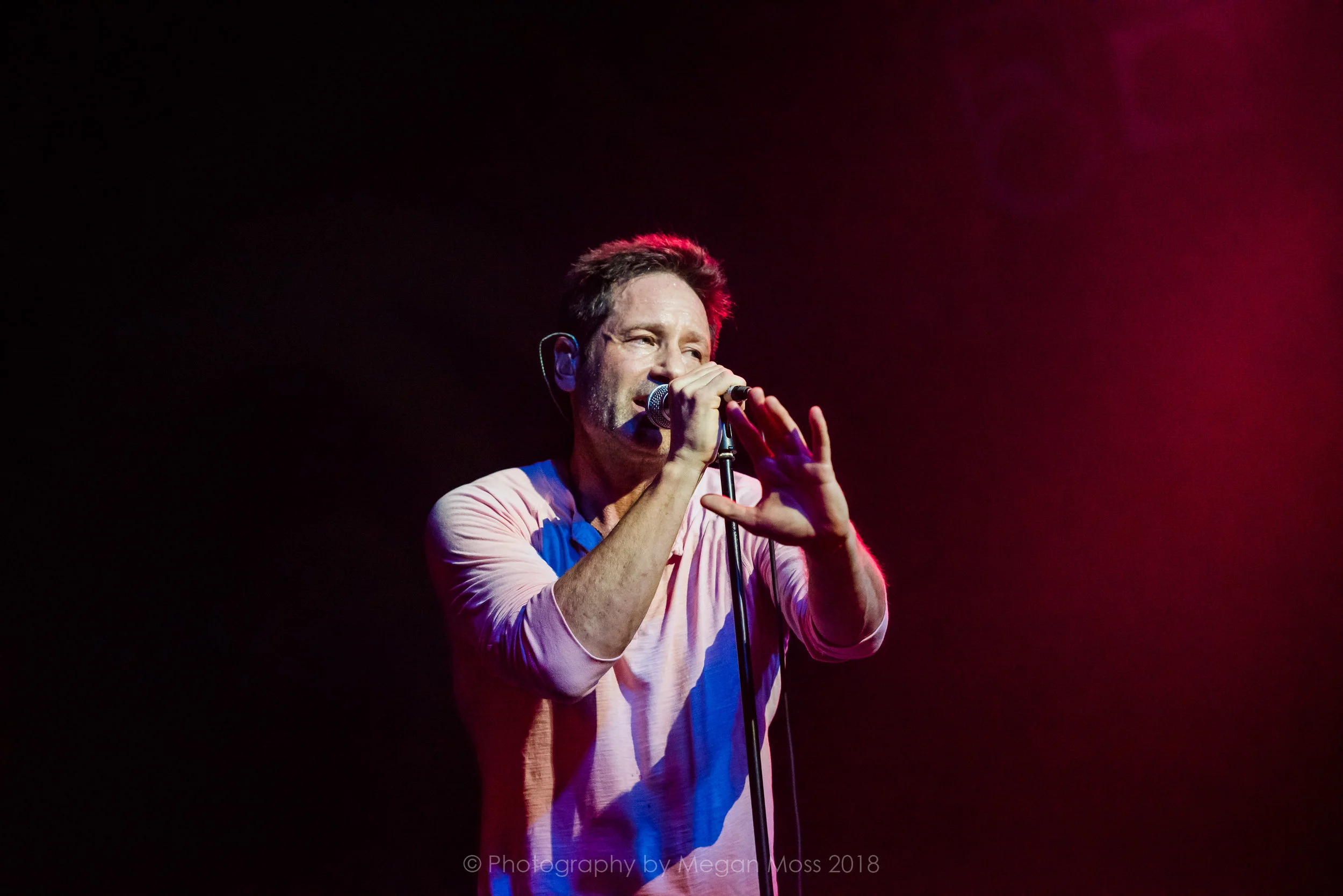 David Duchovny-28.jpg