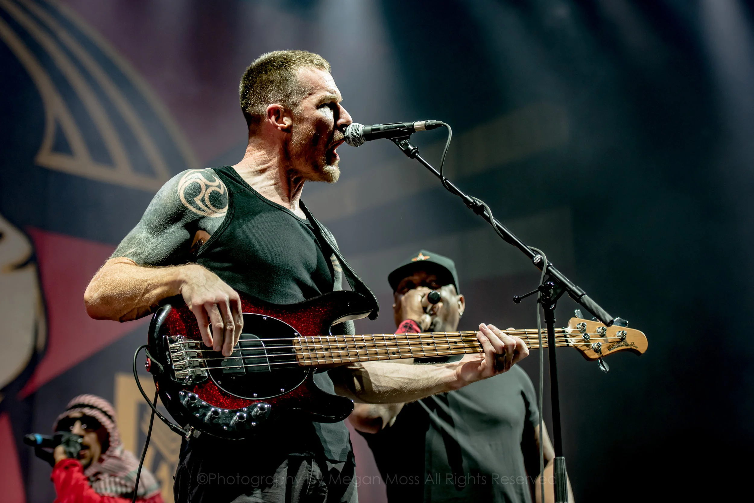 Prophets of Rage-4.jpg
