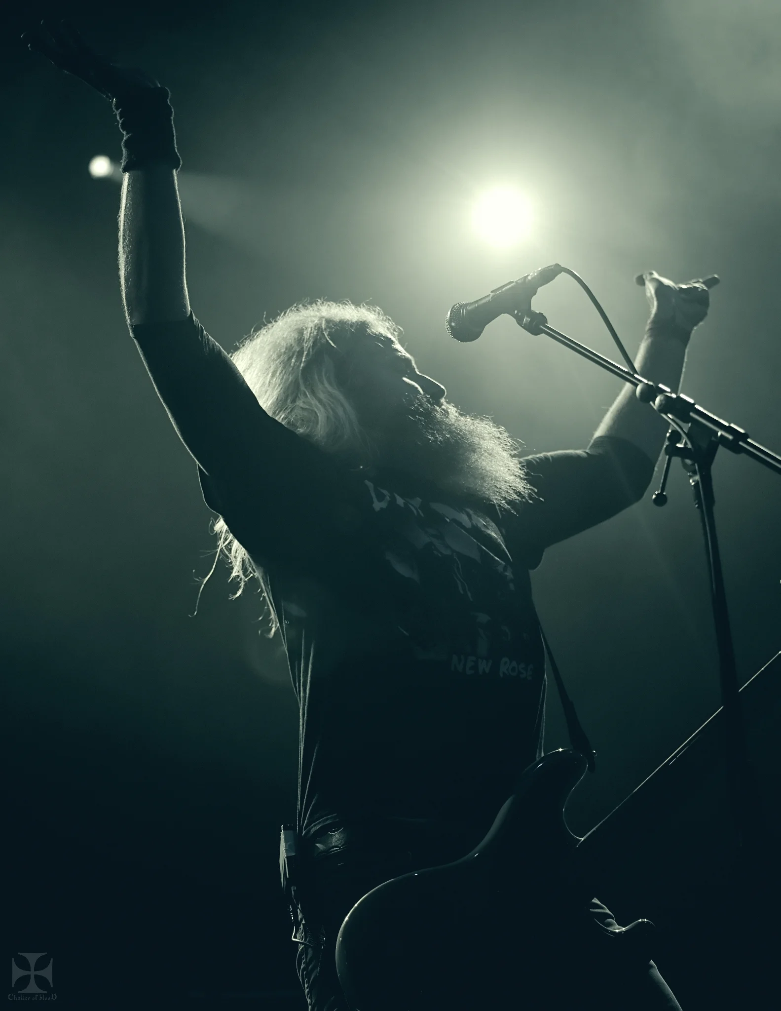 2018.03 Mastodon - 0131-Exposure.jpg