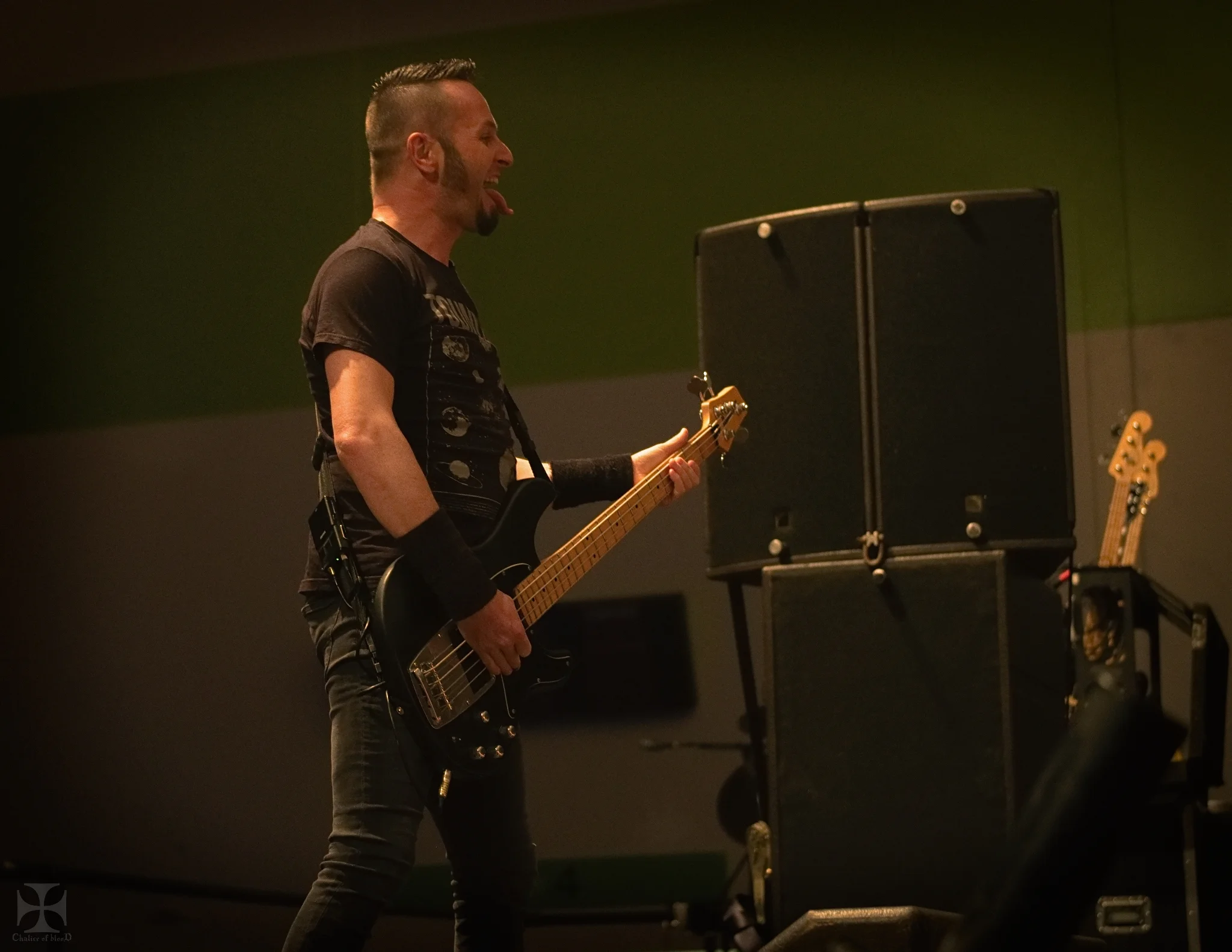2018.03 Gojira - 0034-Exposure.jpg