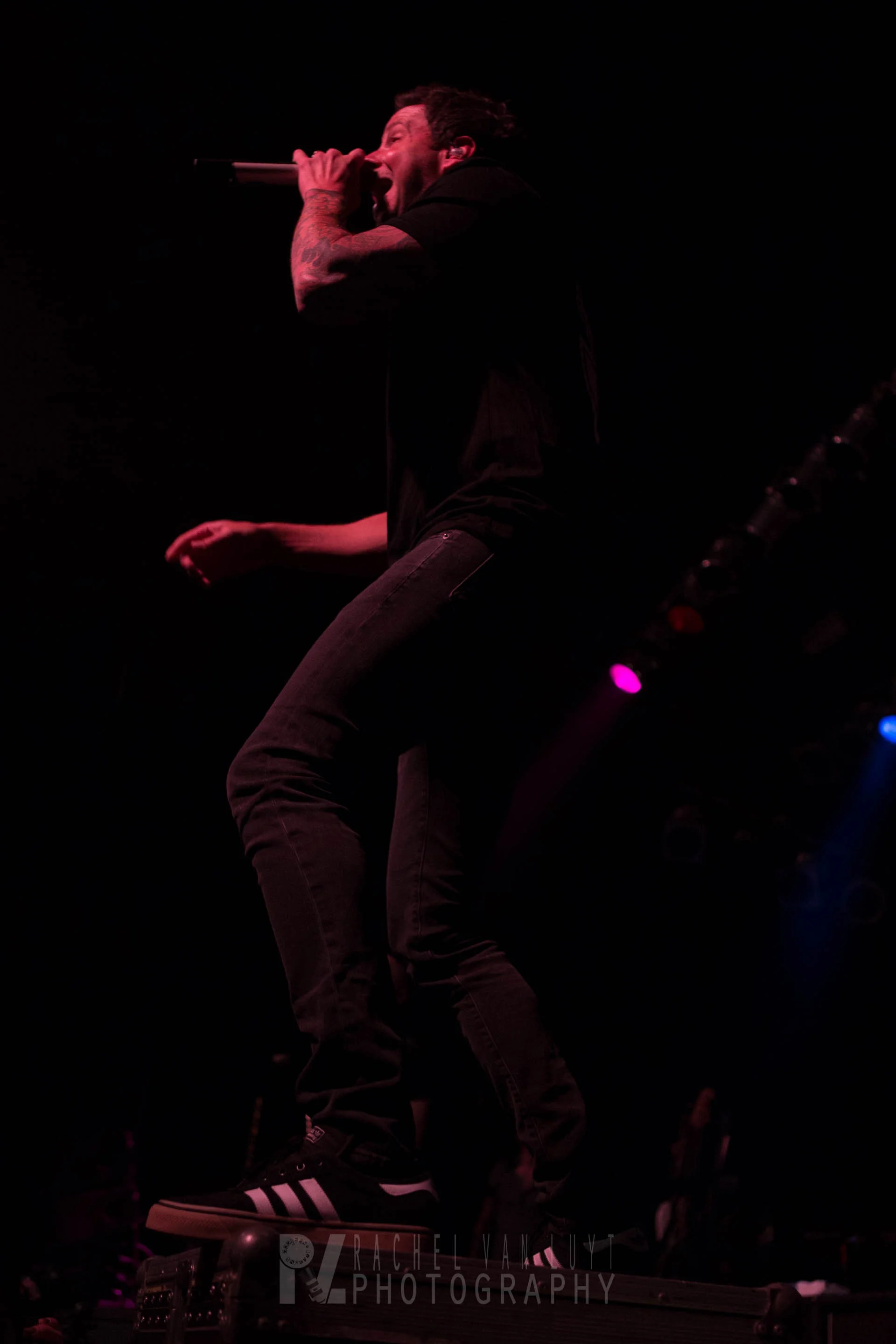 IMG_4166.jpg