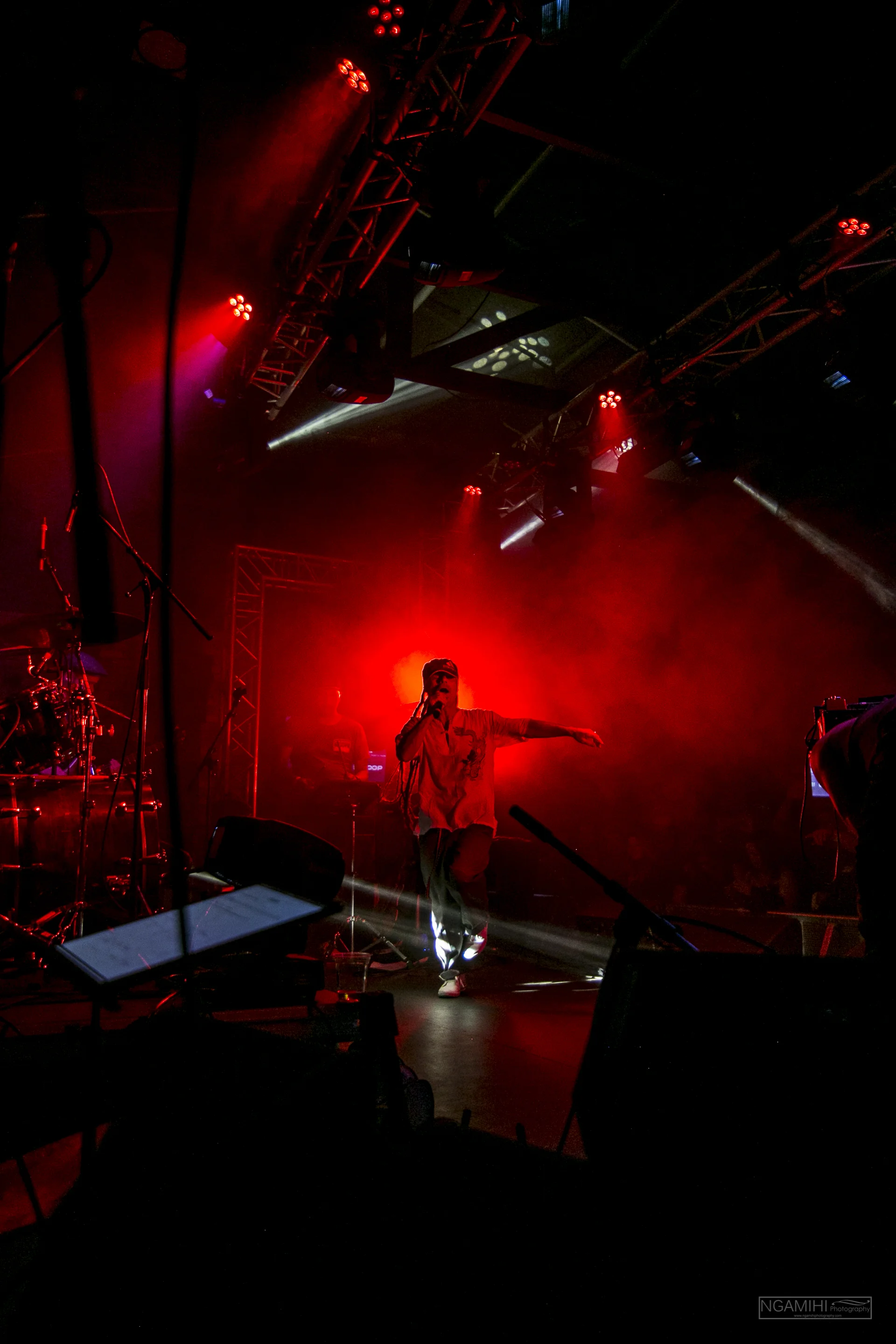Salmonella Dub38.jpg