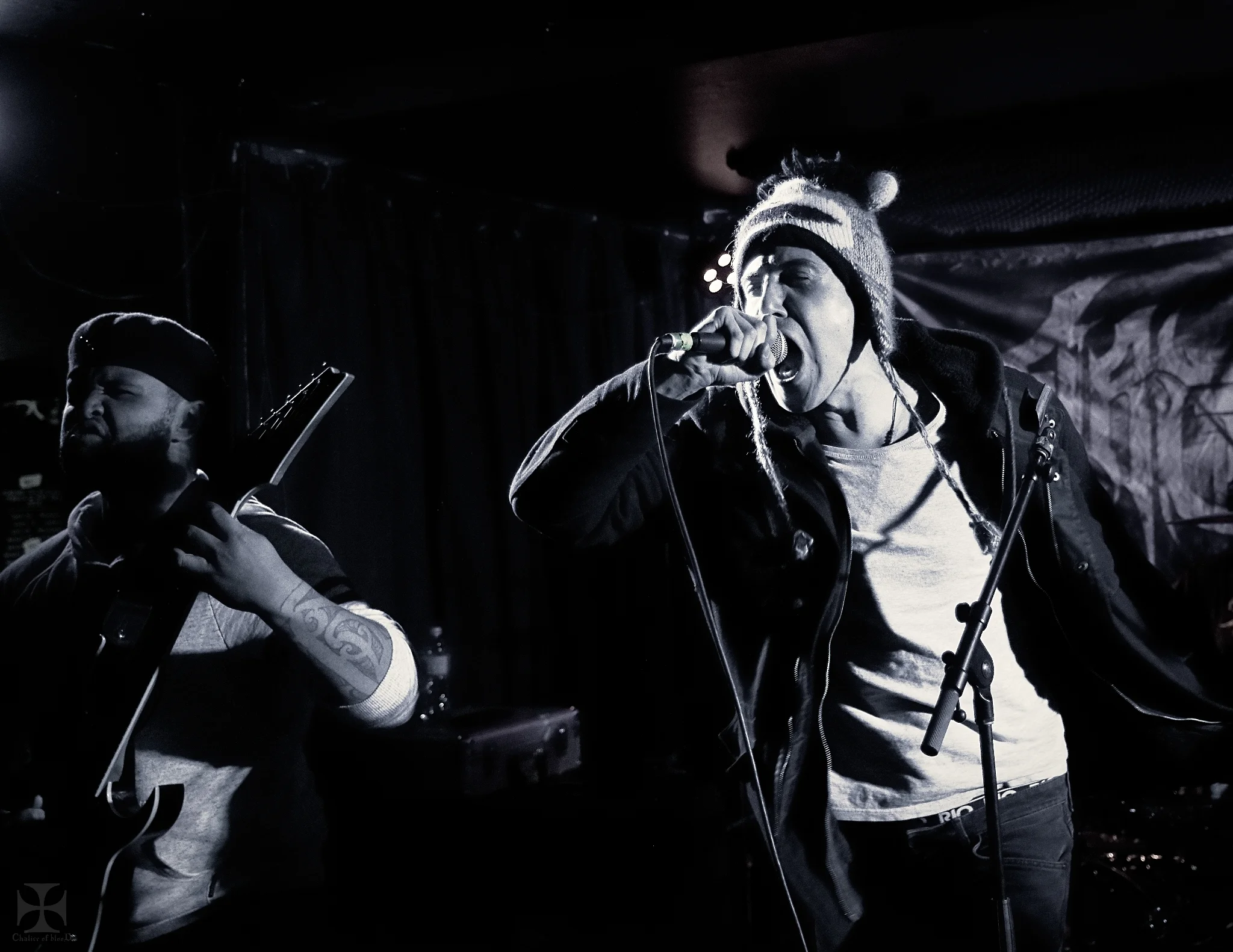 2018.08 Order of Diptera - 0202-Exposure.jpg
