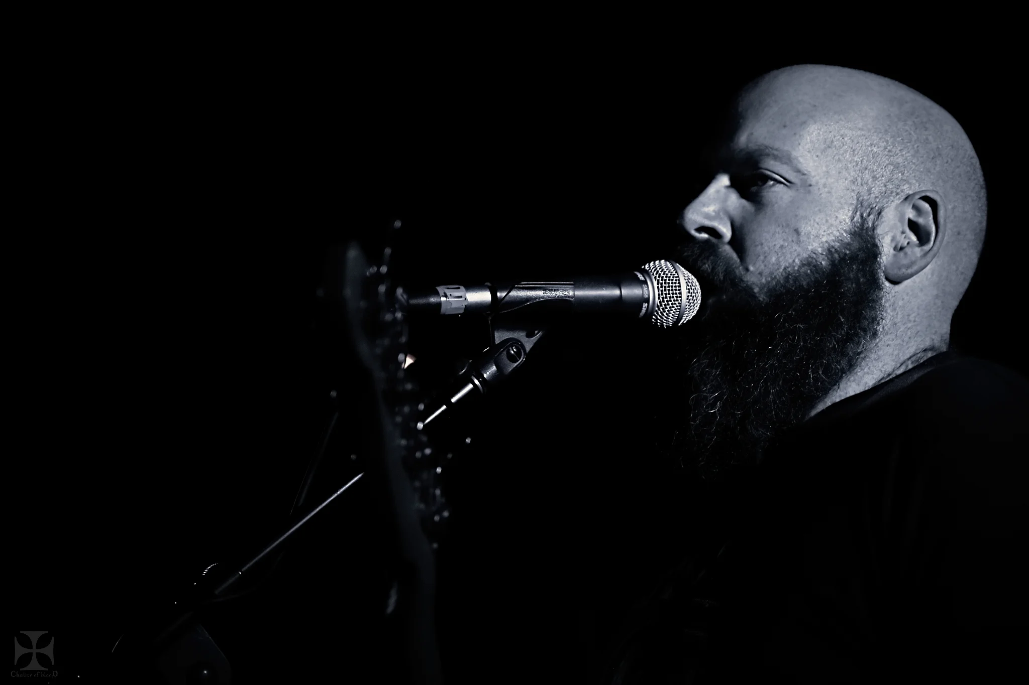 2018.09 Bloodnut - 0019-Exposure.jpg
