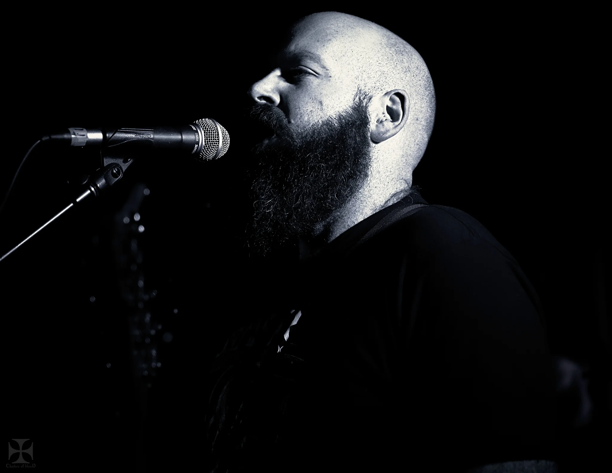 2018.09 Bloodnut - 0027-Exposure.jpg