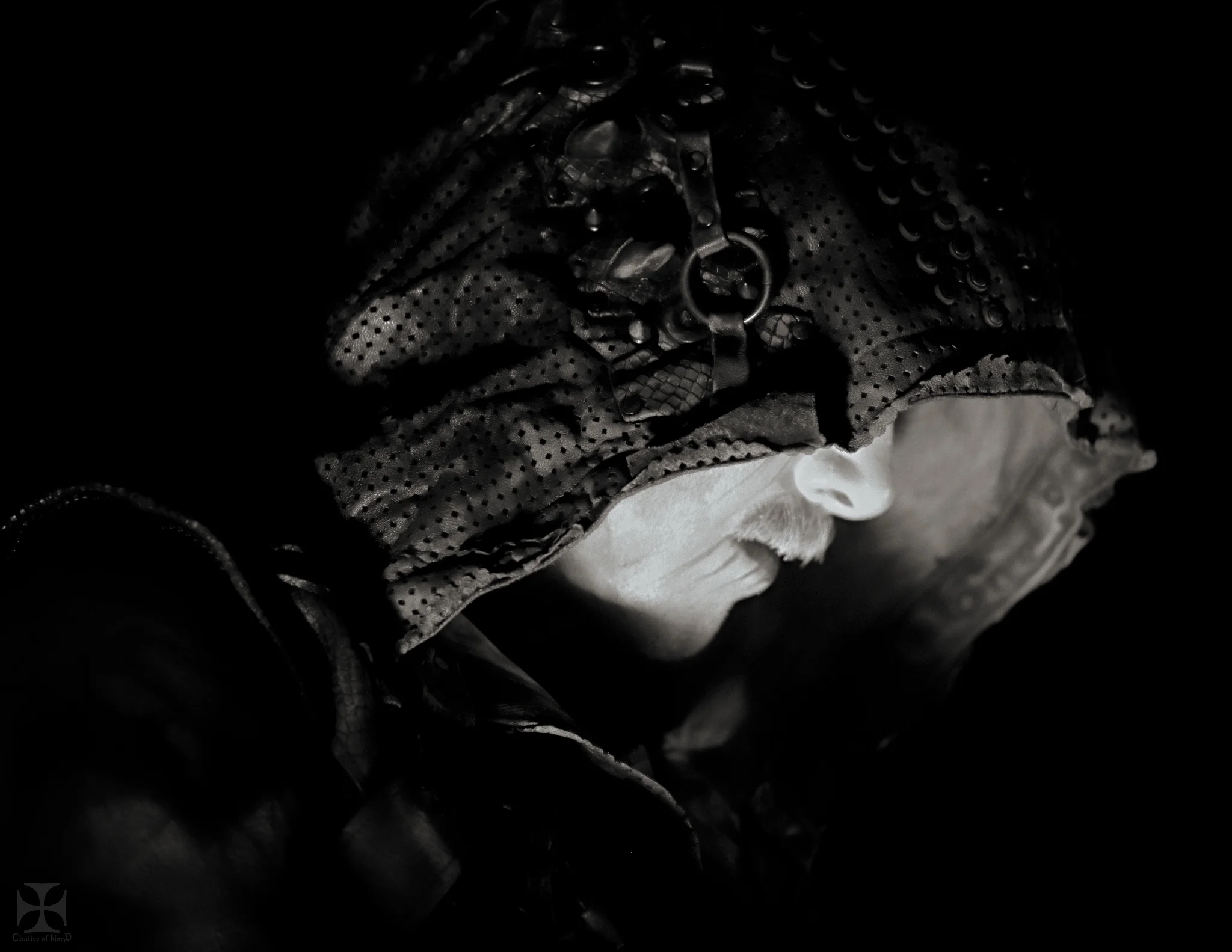 2018.10 Dimmu Borgir - 0004-Exposure.jpg
