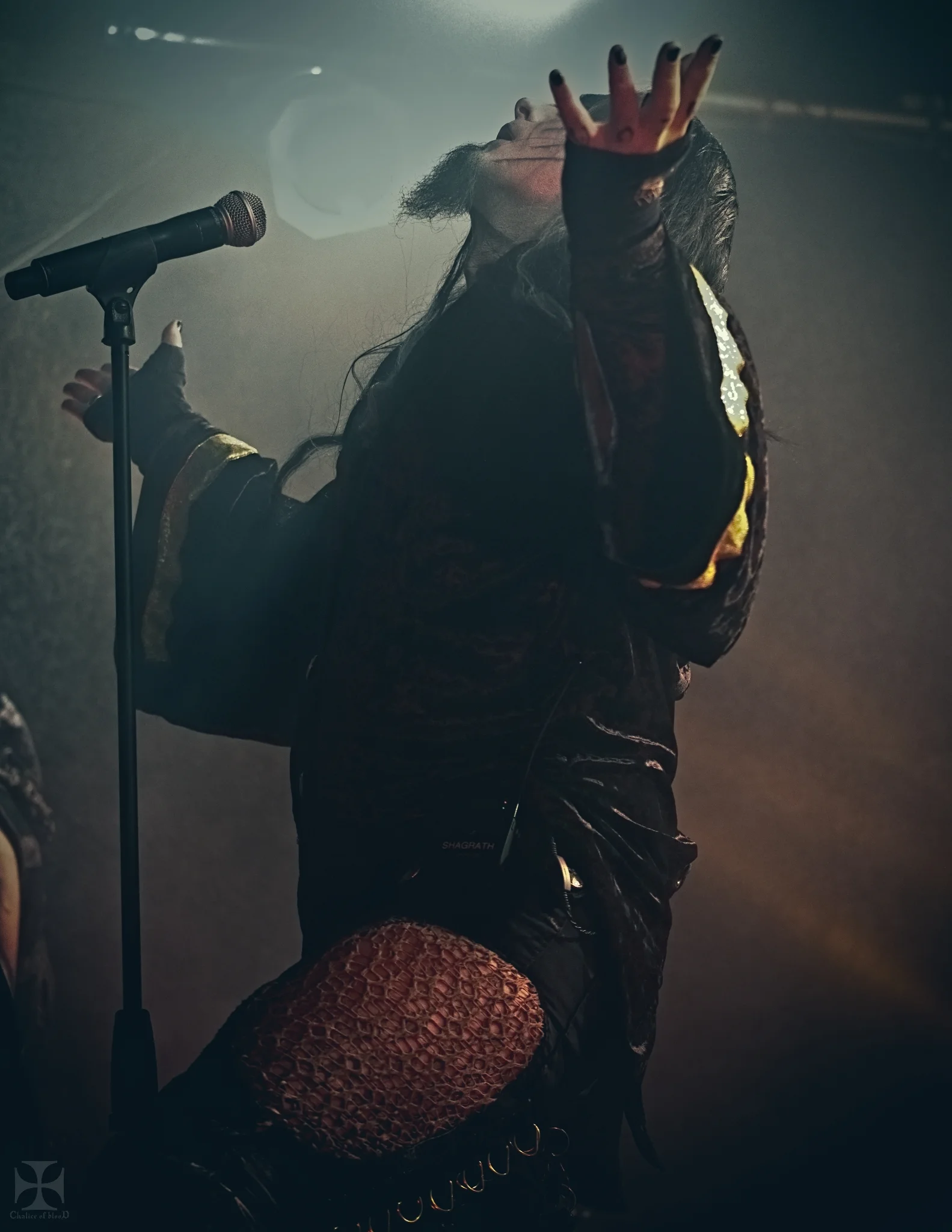 2018.10 Dimmu Borgir - 0111-Exposure.jpg