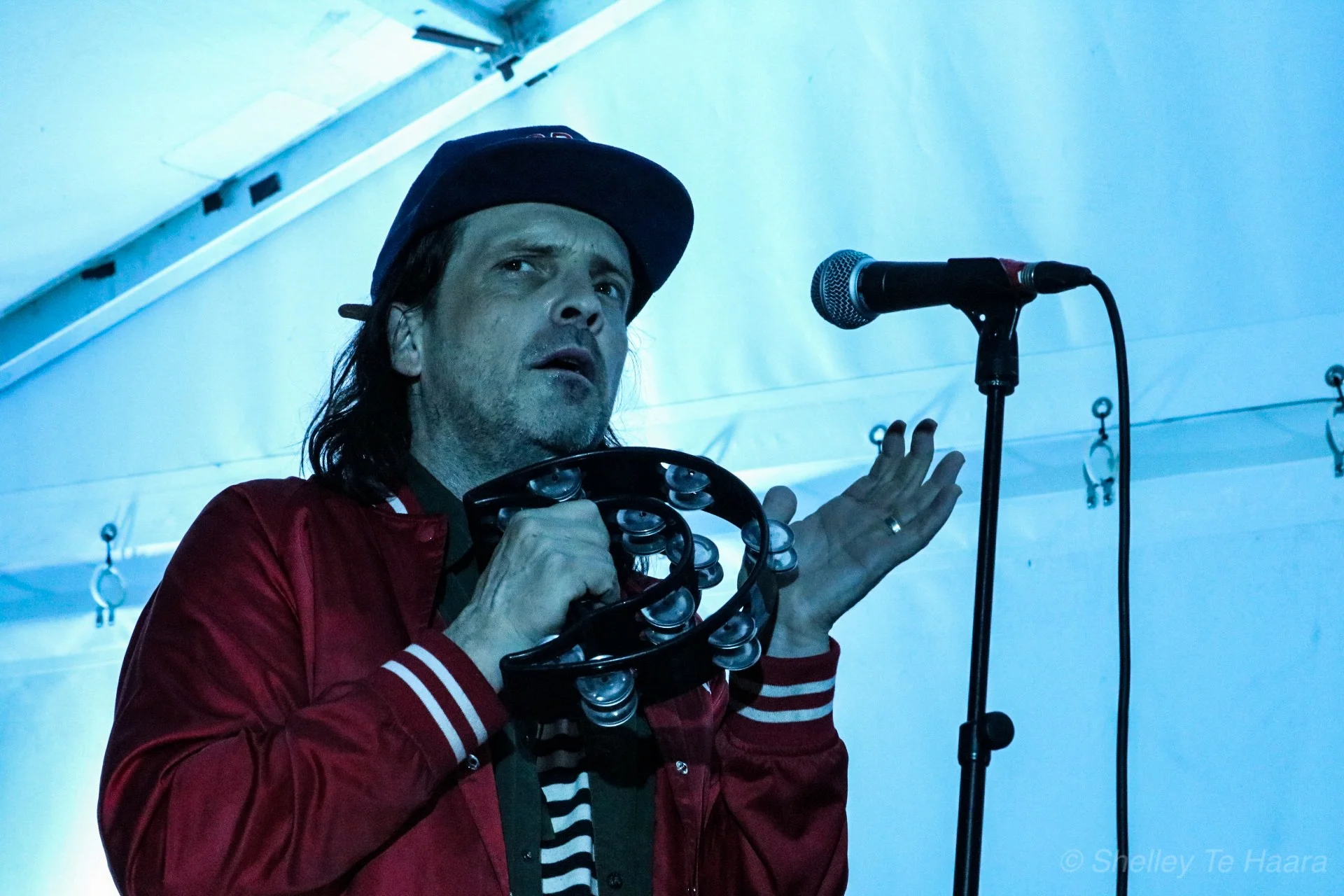 Elemeno P-13.jpg