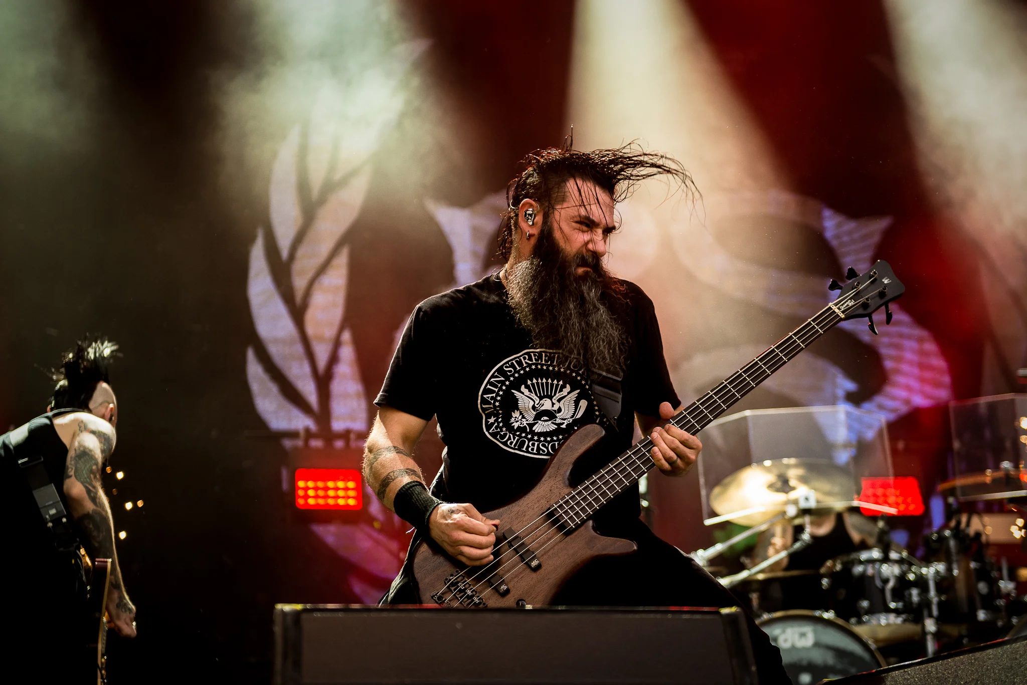 DSC_StoneSour2.jpg