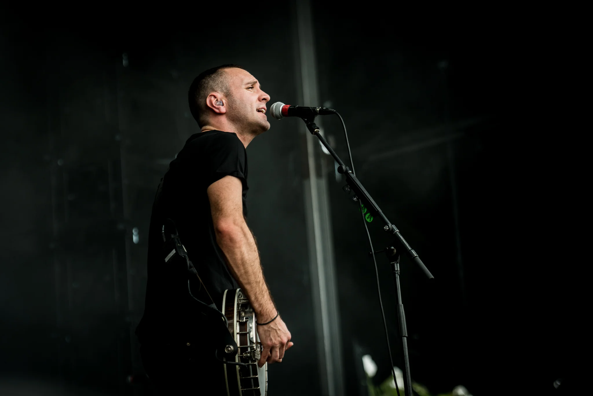 DSC_DropkickMurphys5.jpg
