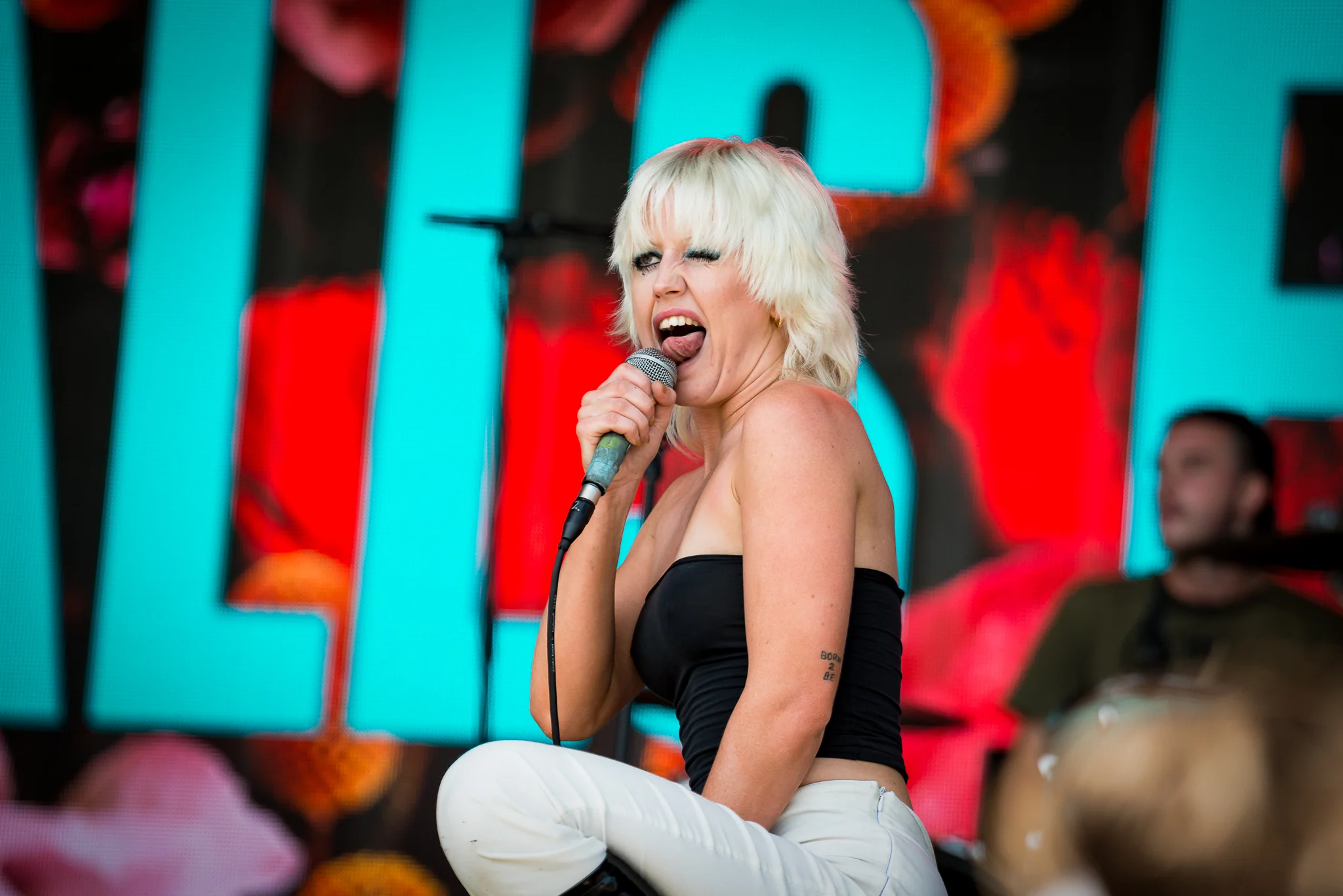 DSC_AmylAndTheSniffers1.jpg