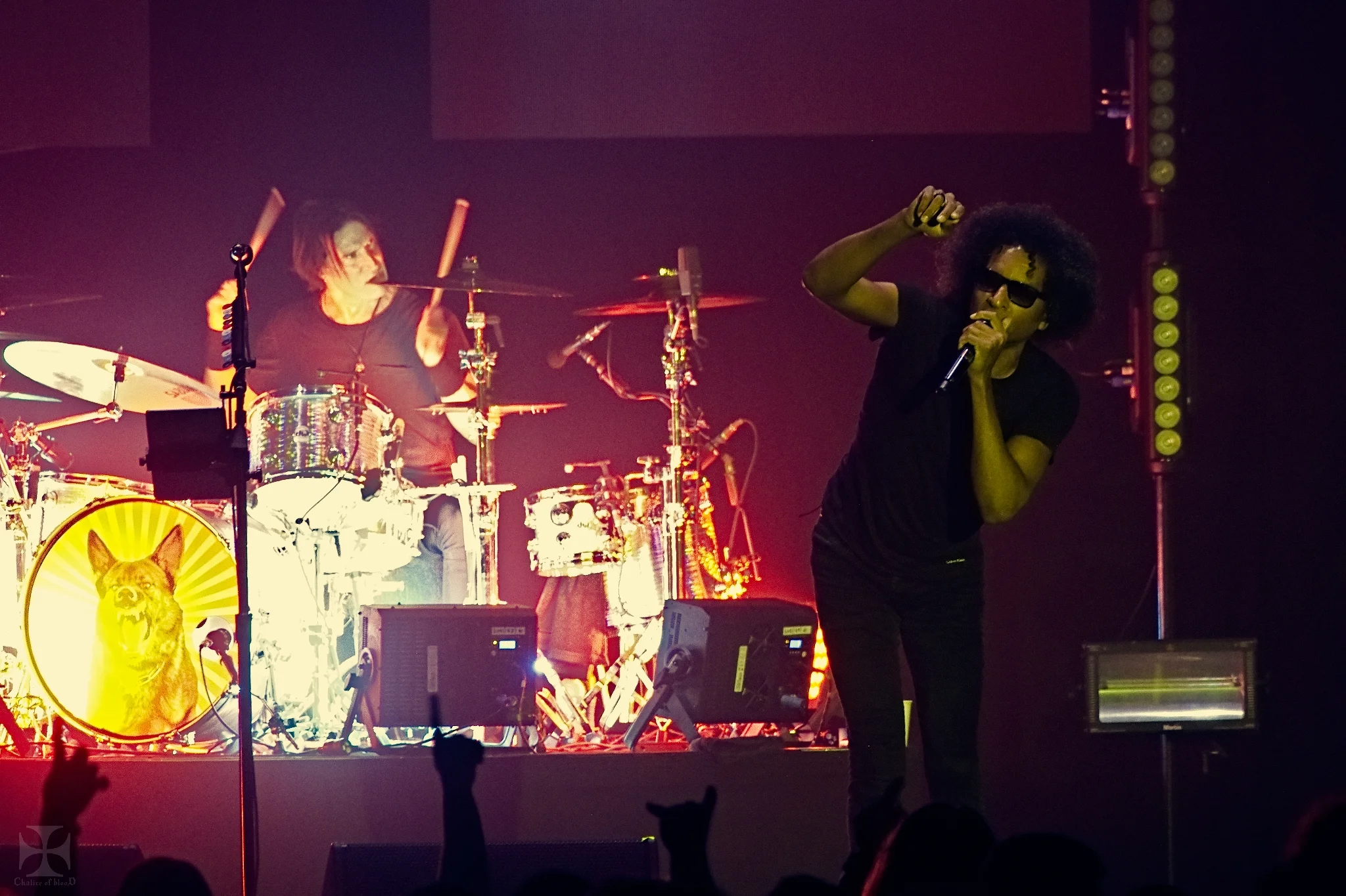 2019.03 Alice In Chains - 0131-Exposure.jpg