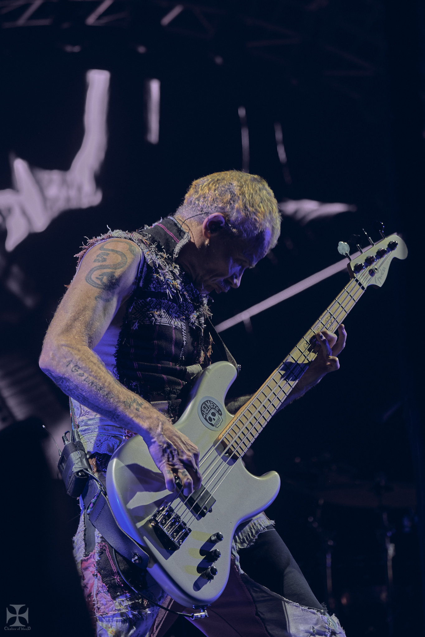 2019.03 RHCP - Red Hot Chilli Peppers 0051.jpg