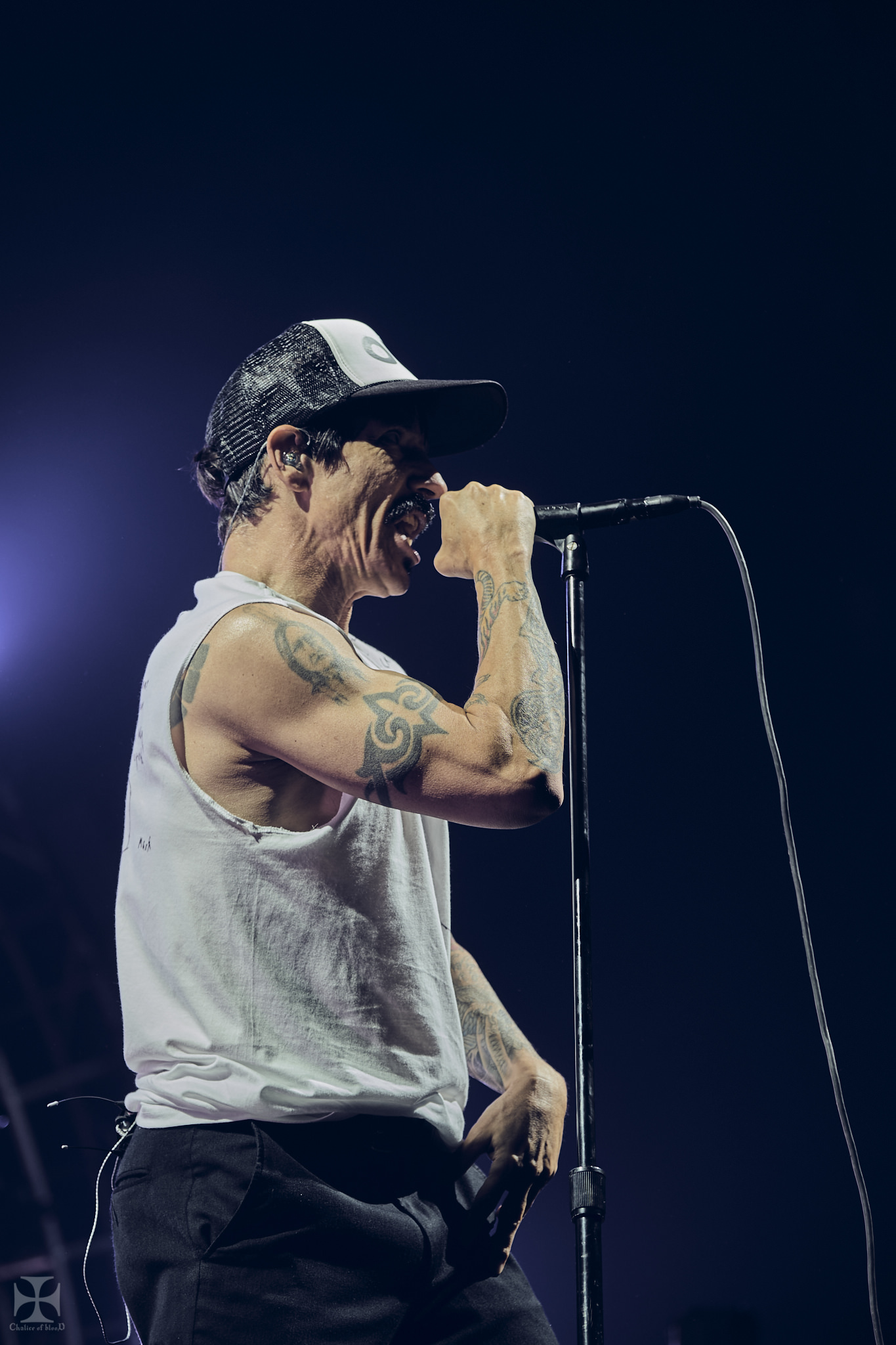 2019.03 RHCP - Red Hot Chilli Peppers 0107.jpg