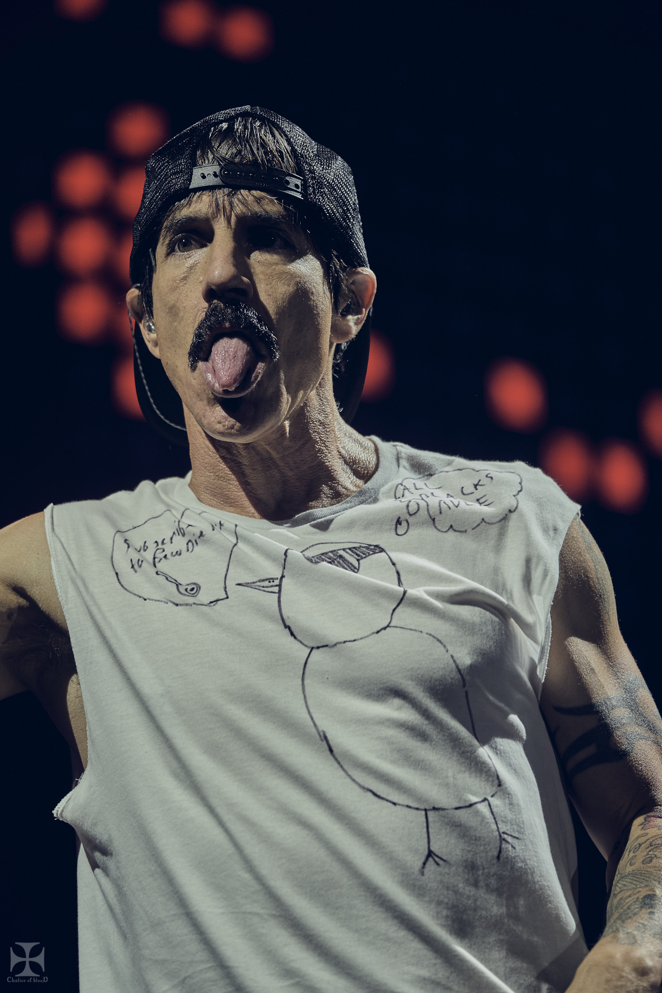 2019.03 RHCP - Red Hot Chilli Peppers 0171.jpg