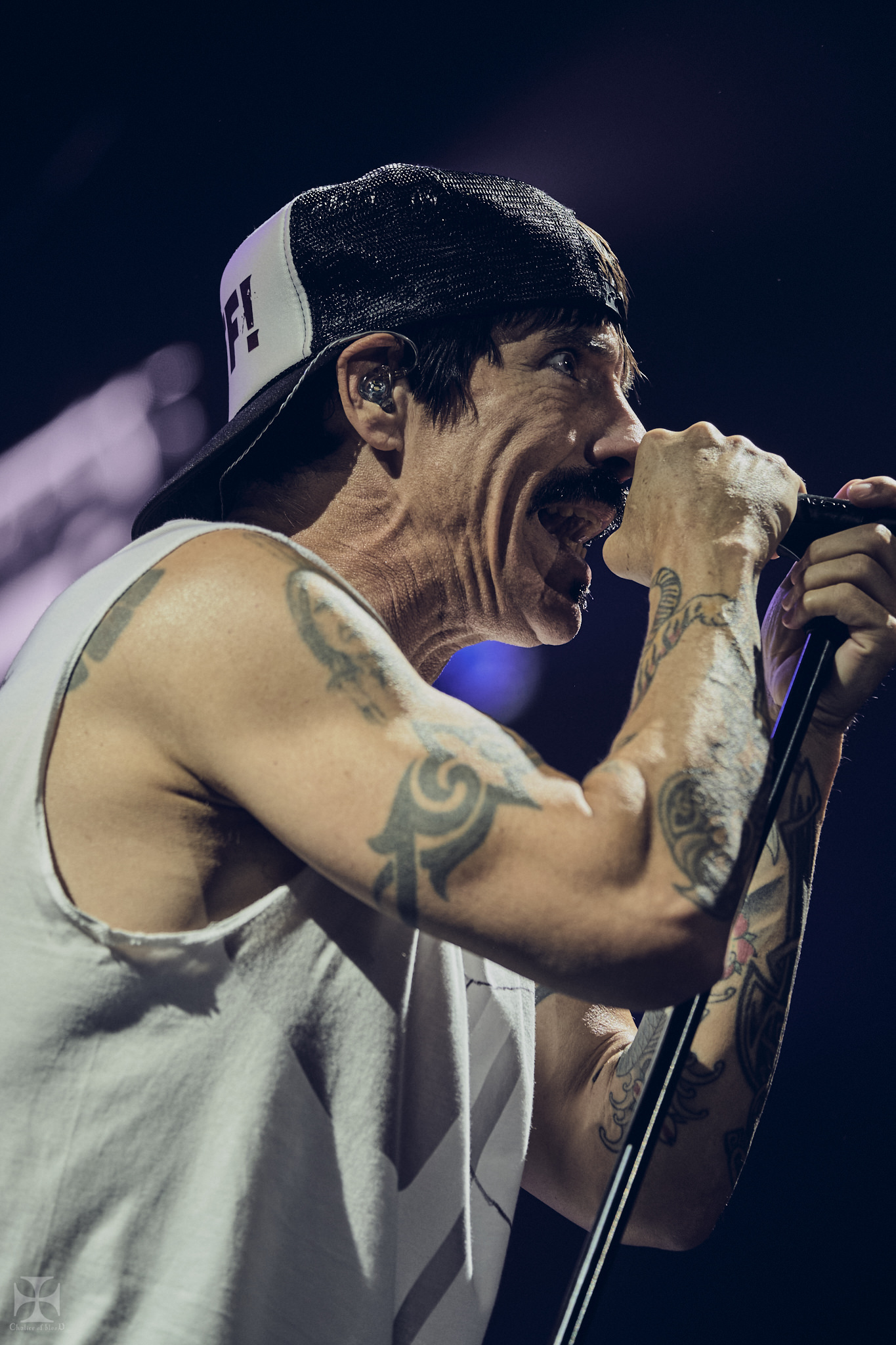 2019.03 RHCP - Red Hot Chilli Peppers 0168.jpg