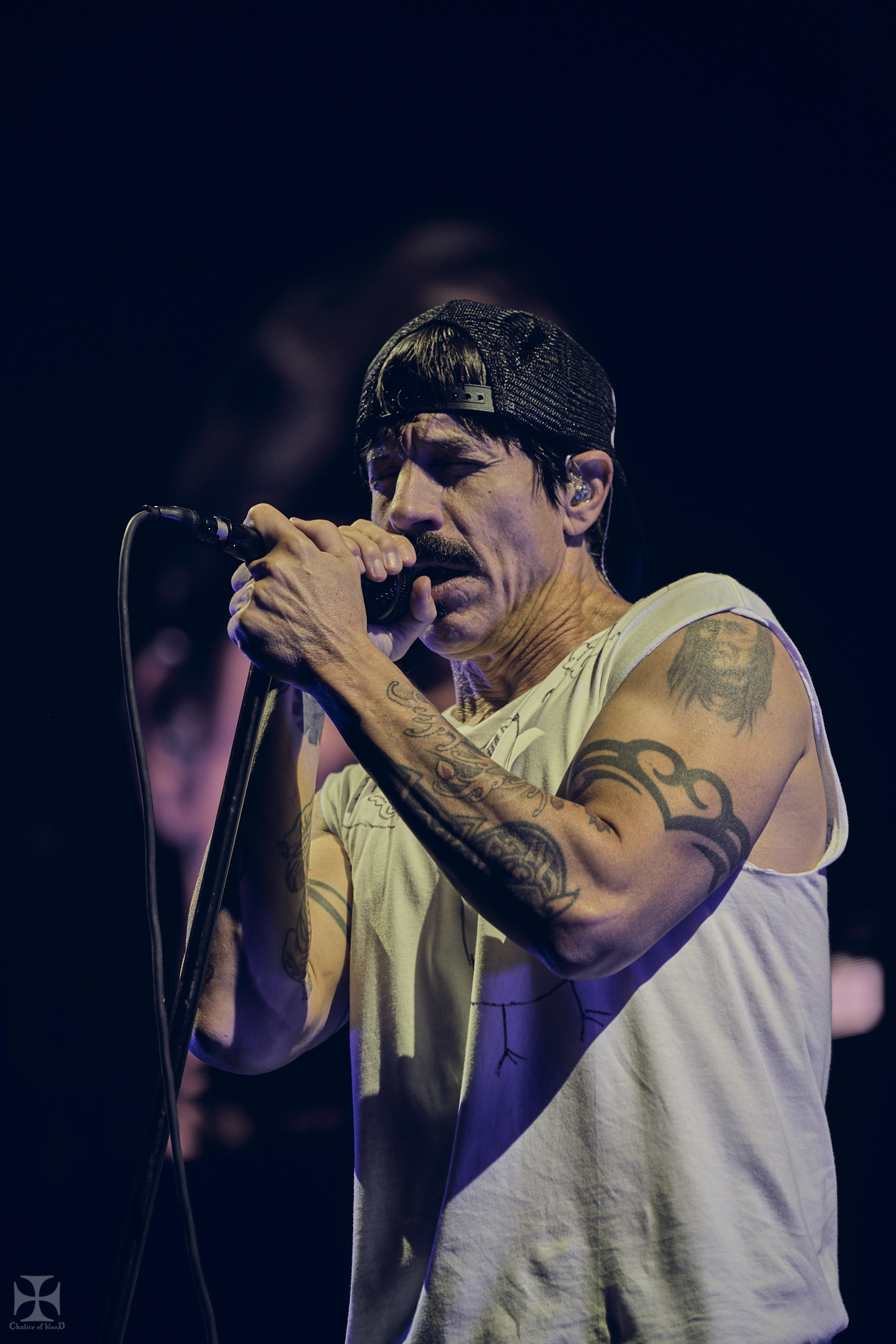 2019.03 RHCP - Red Hot Chilli Peppers 0196.jpg