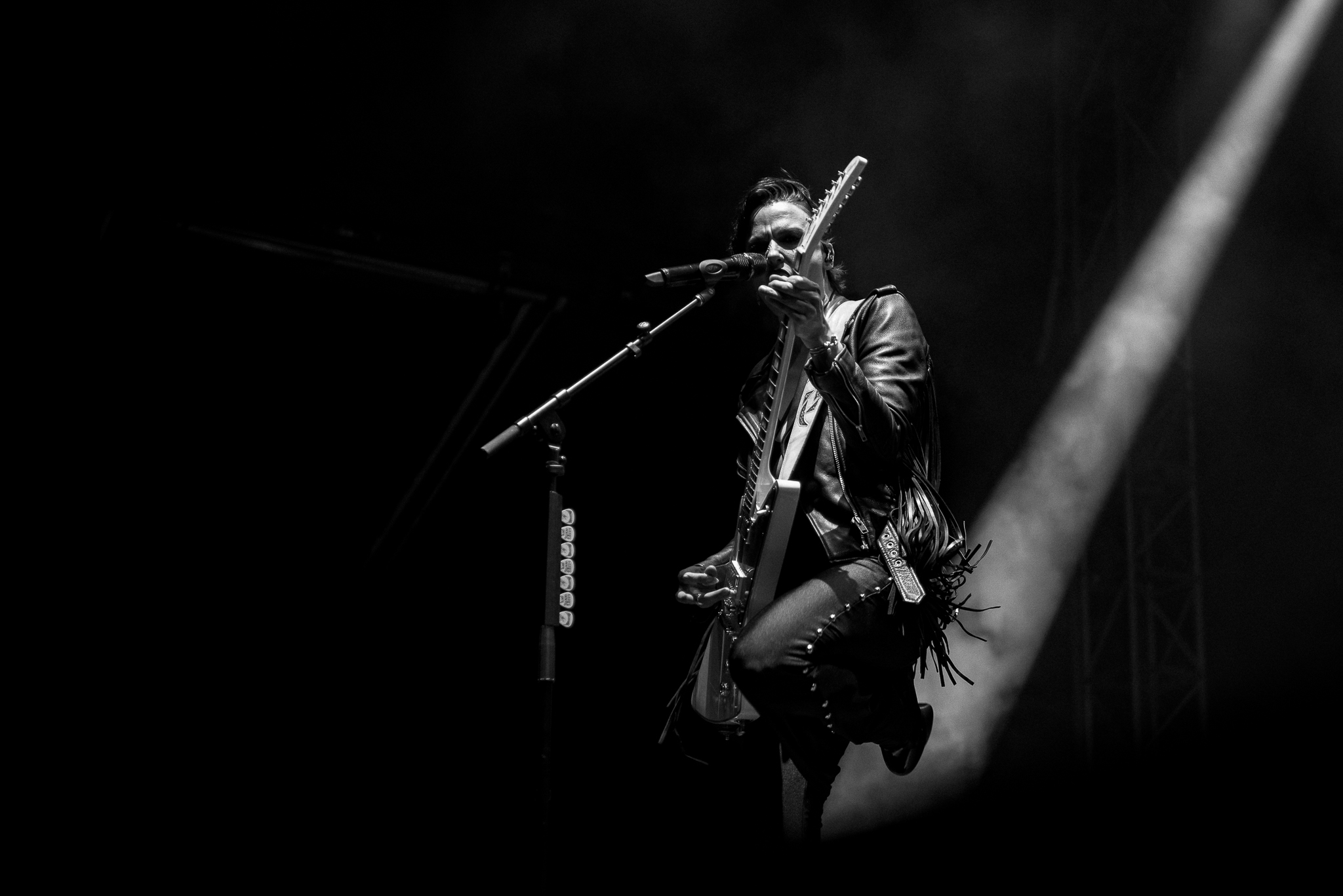 DSC_7Halestorm.jpg