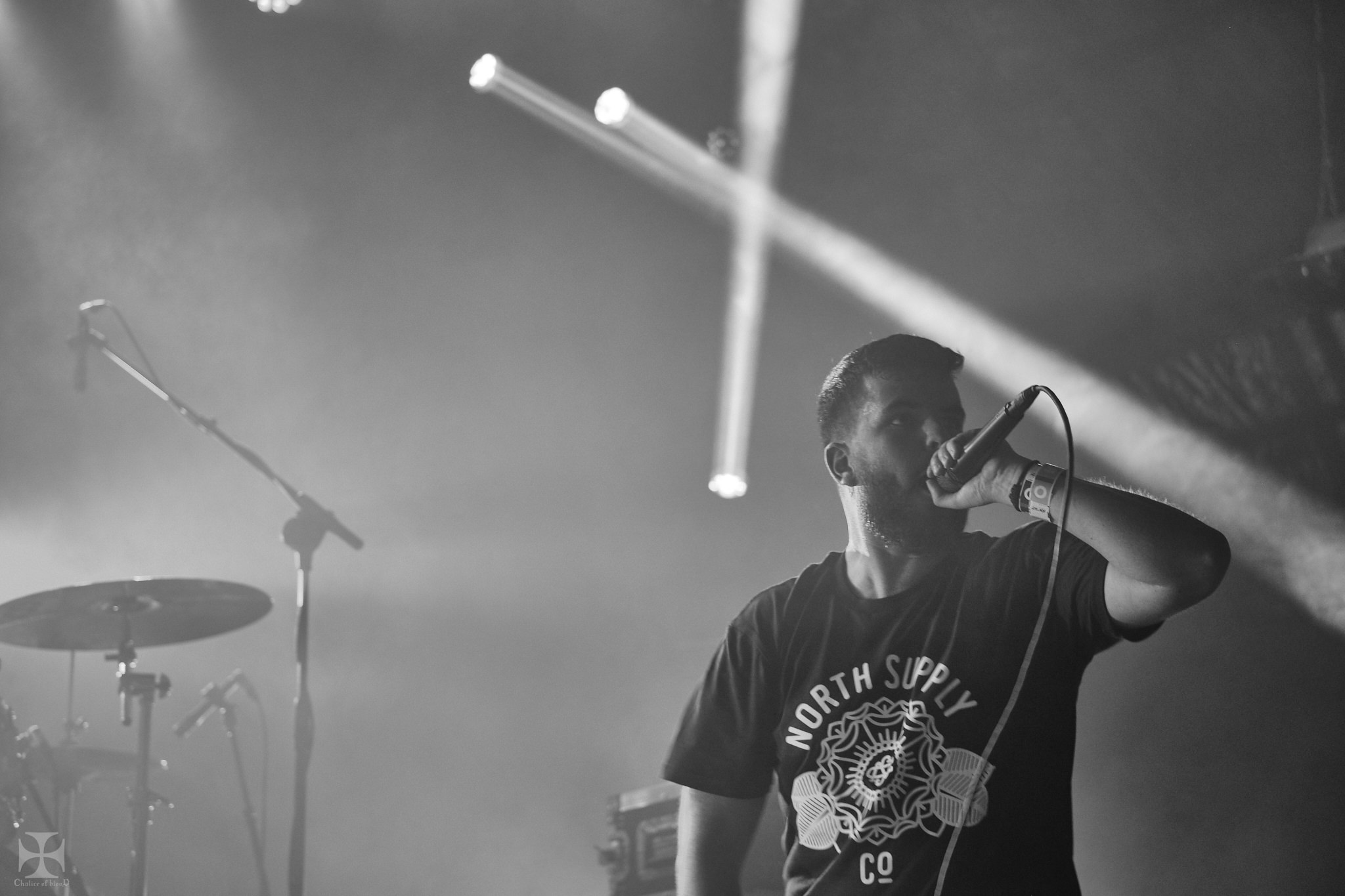 Festival One 2019 - Amanaki 0076.jpg