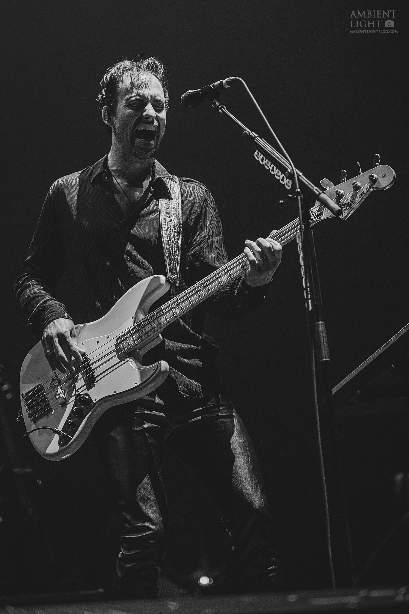 Halestorm_160319_114.jpg
