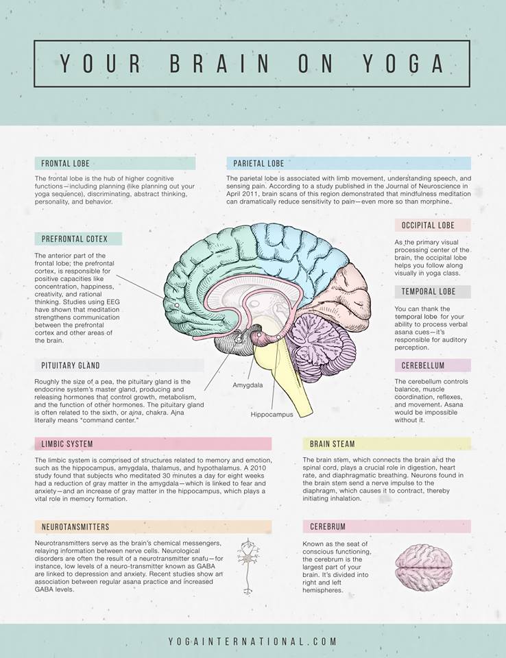 Image from Yoga International