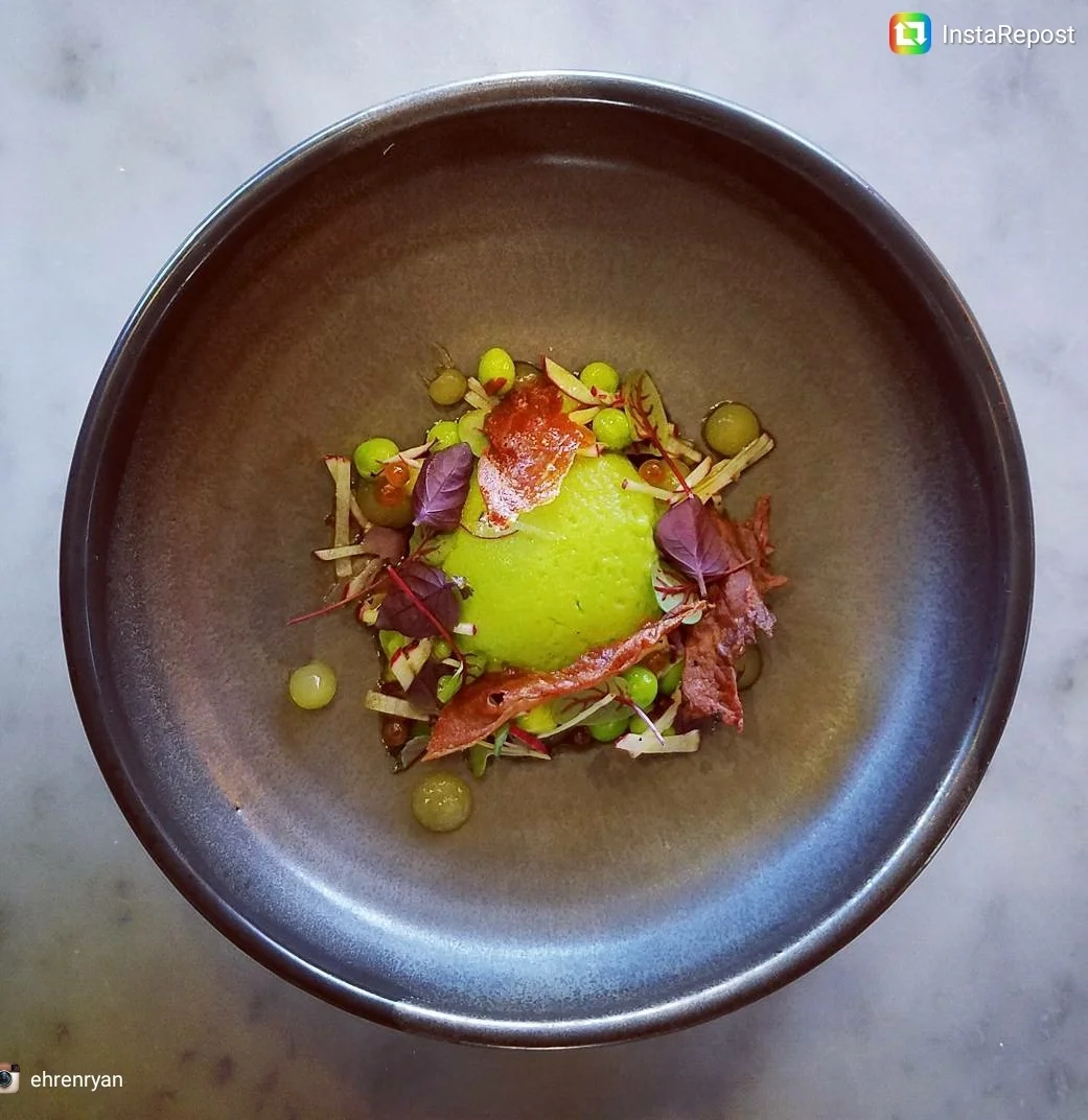 Common Lot, Millburn, NJ Spring pea panna cotta, cured salmon roe, crispy pig, radish, lemon