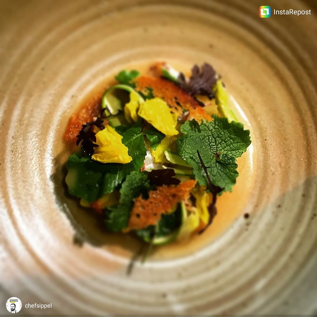 Jockey Hollow Bar & Kitchen, Morristown, NJ Yellowtail- garlic mustard panzanella-Coltura Sott'aceto