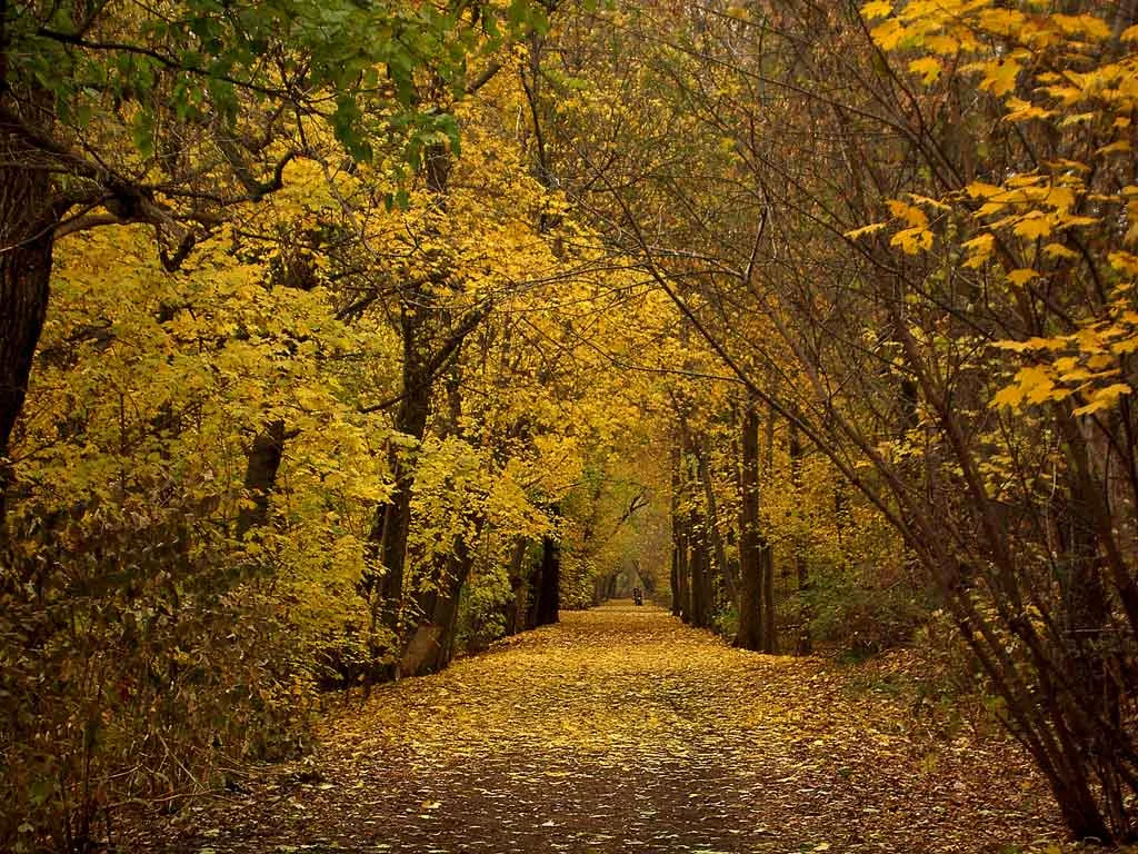Beltline Trail Toronto Proposal.jpg