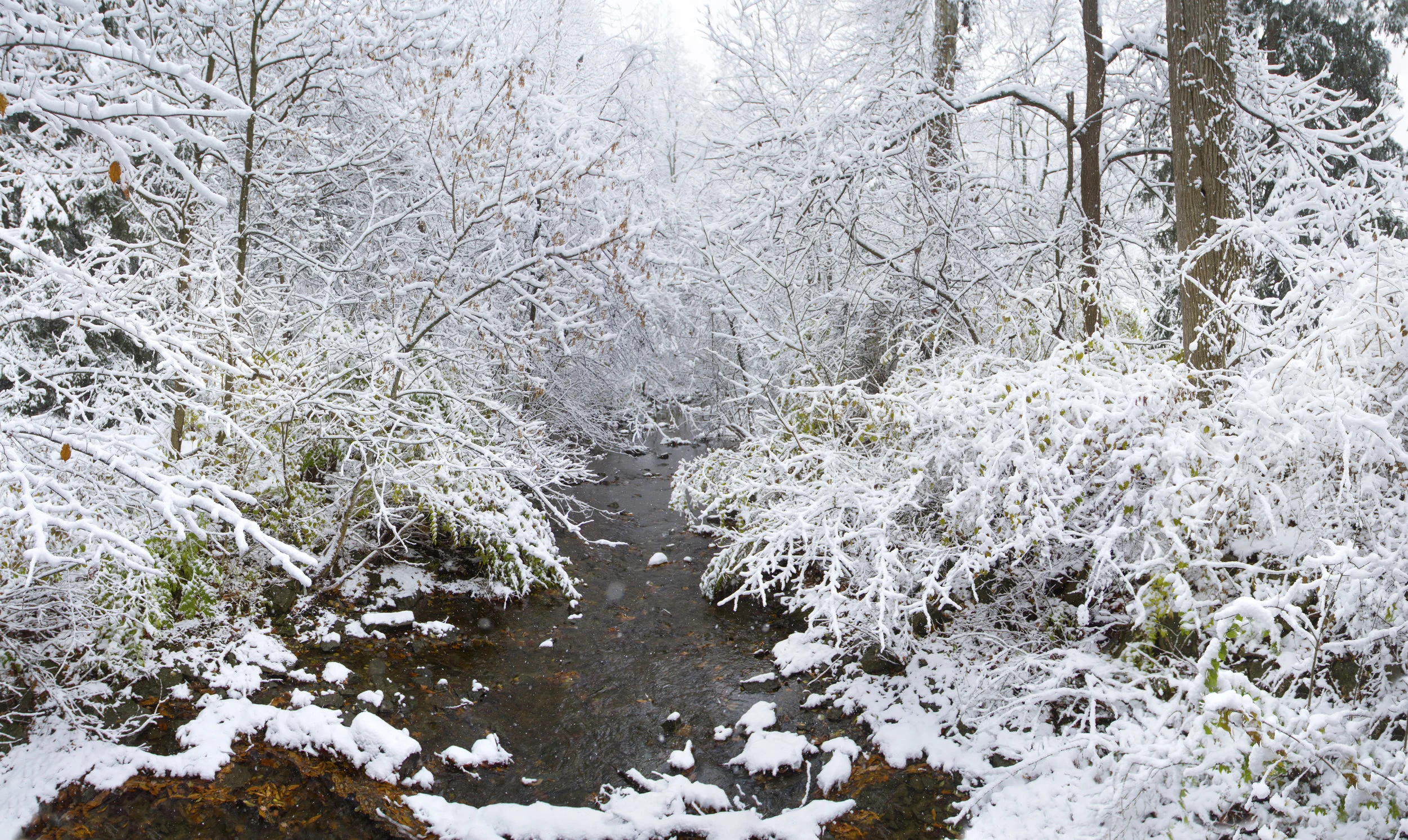 snow_pano3.jpg