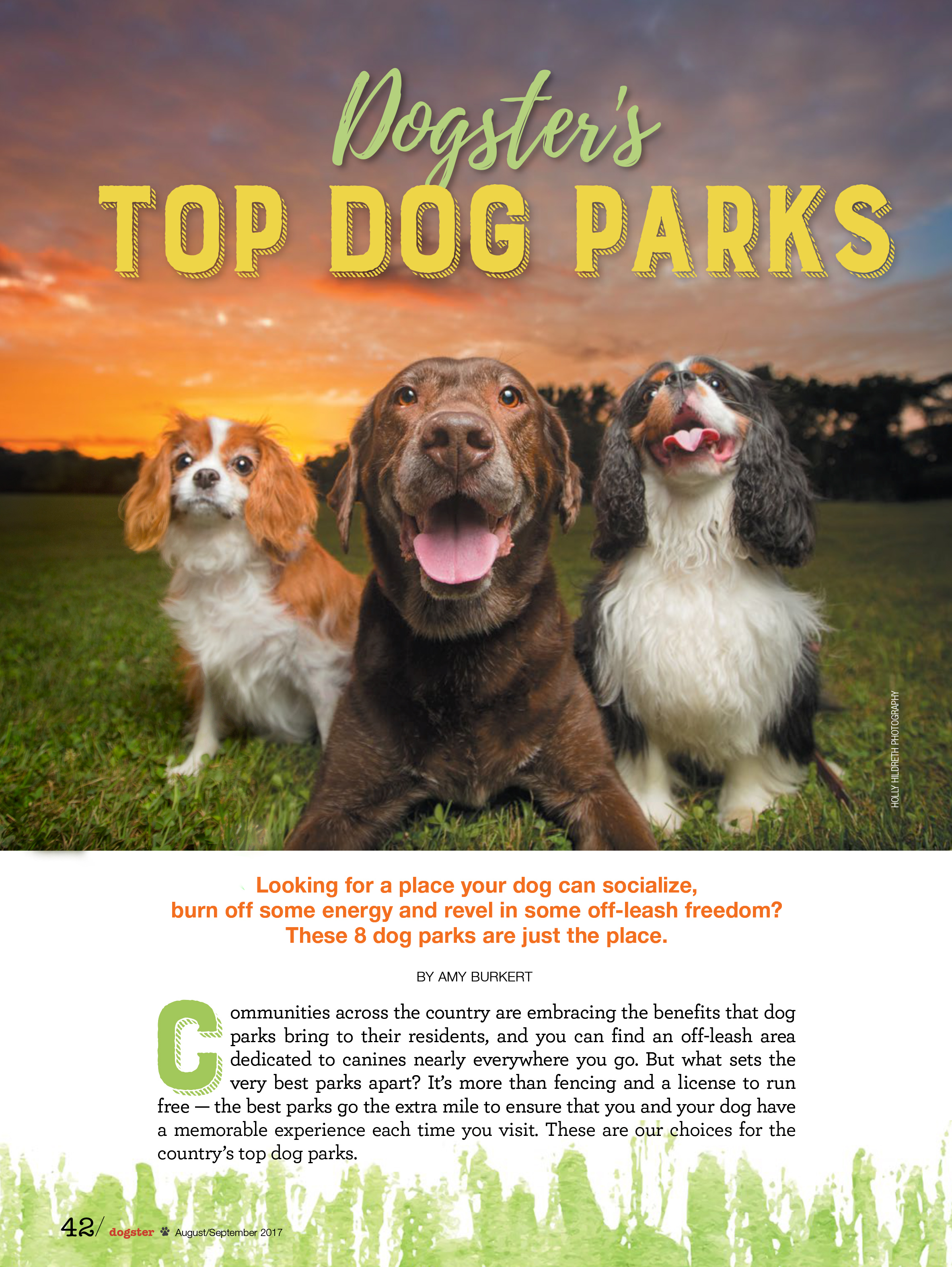 42x45_Dog Parks_1708-as-mlk copy 2-1.jpg