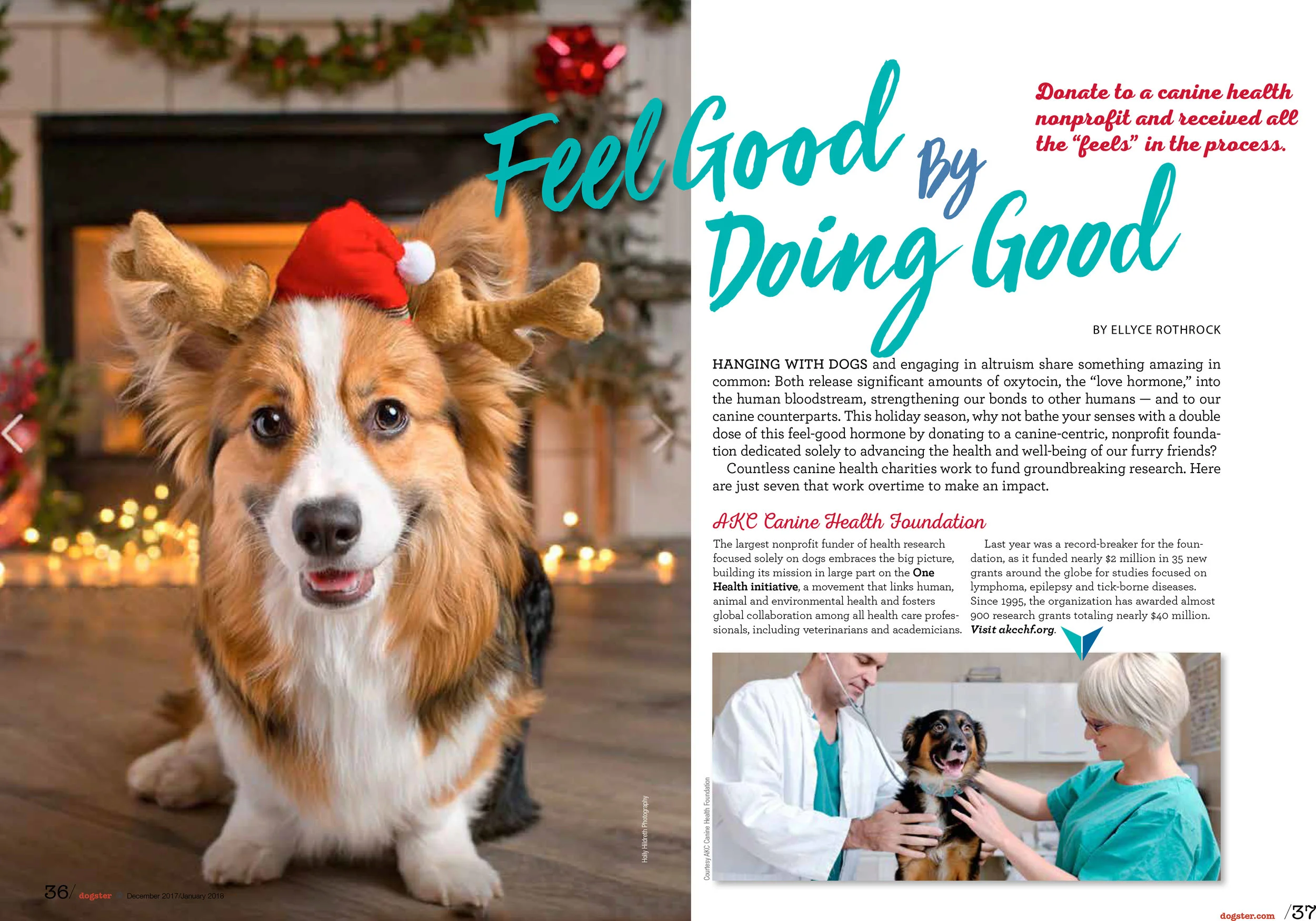 tearsheet.jpg