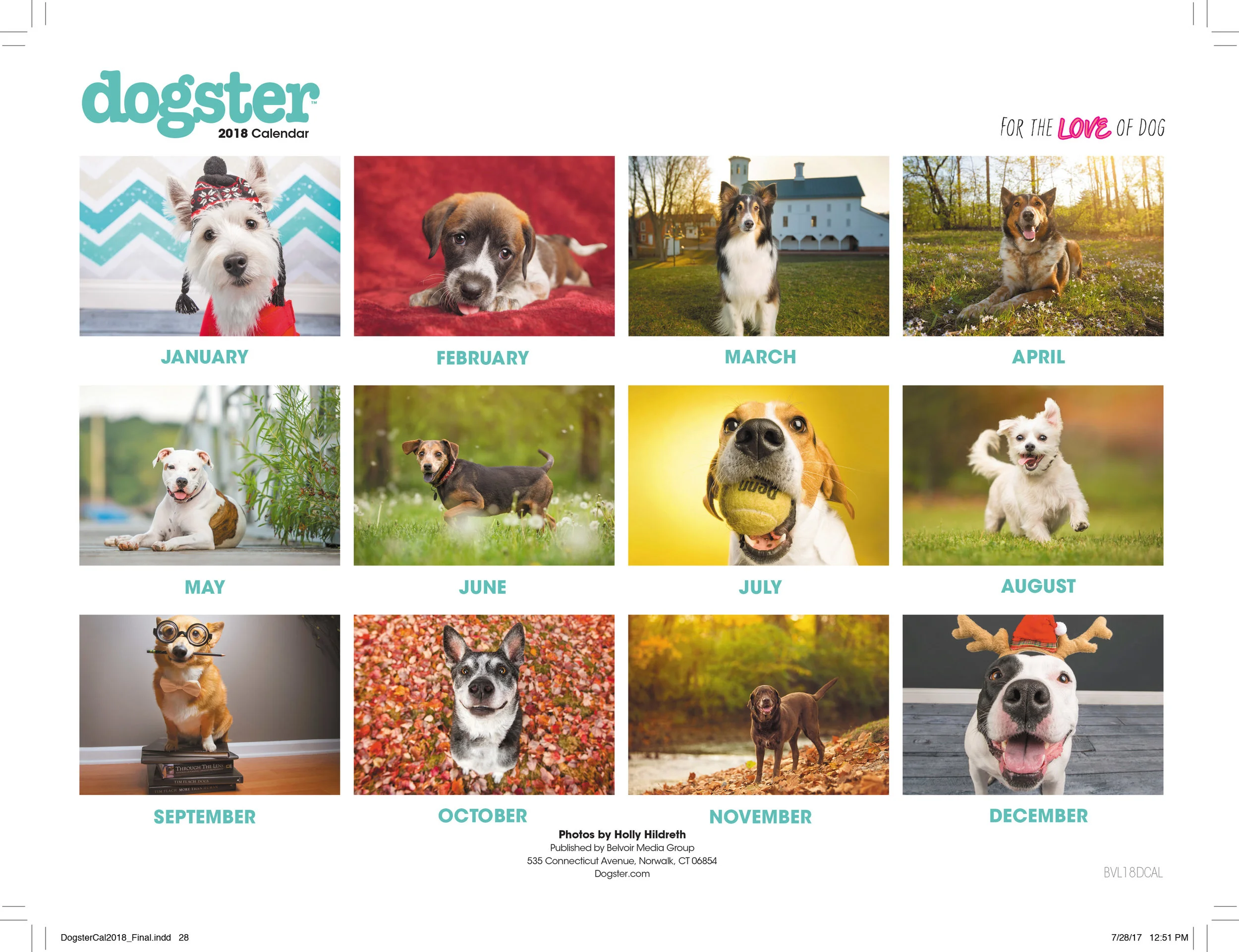 DogsterCal2018_Final (1)-28.jpg