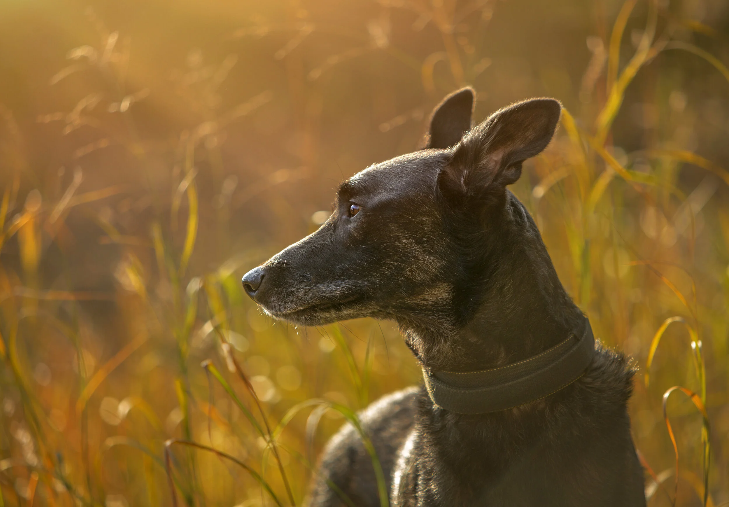HollyHildrethPhotography5X3A2338R.jpg