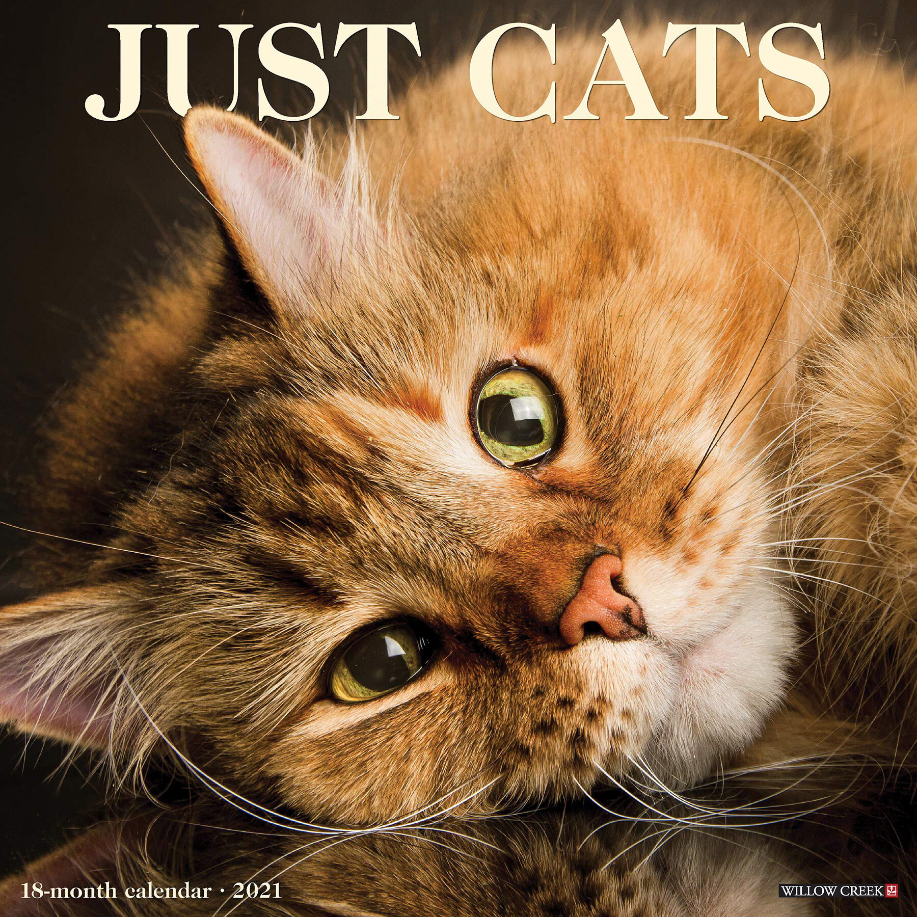 JustCats1 copy.jpg