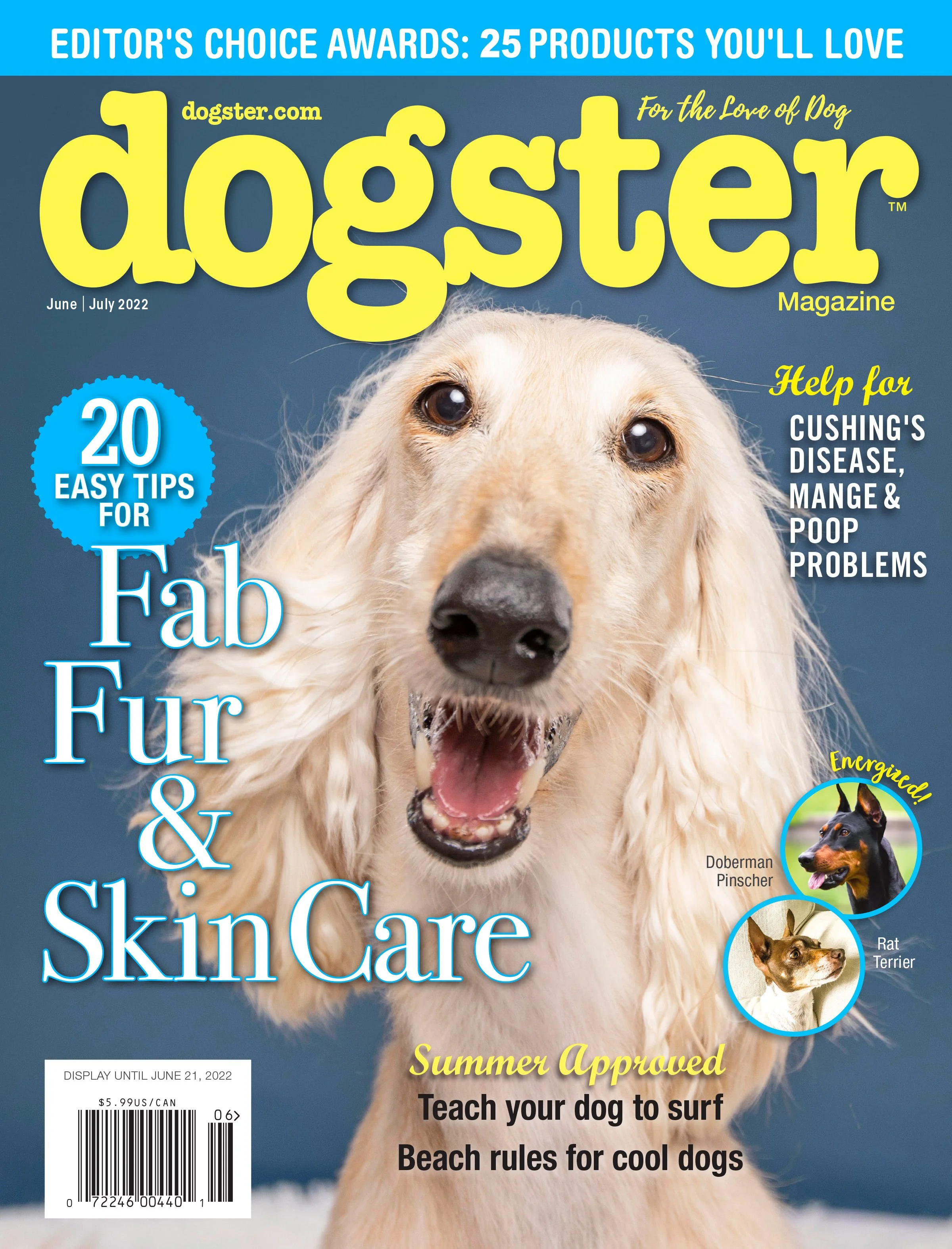 DSTR_2206_COVER FINAL (1).jpg