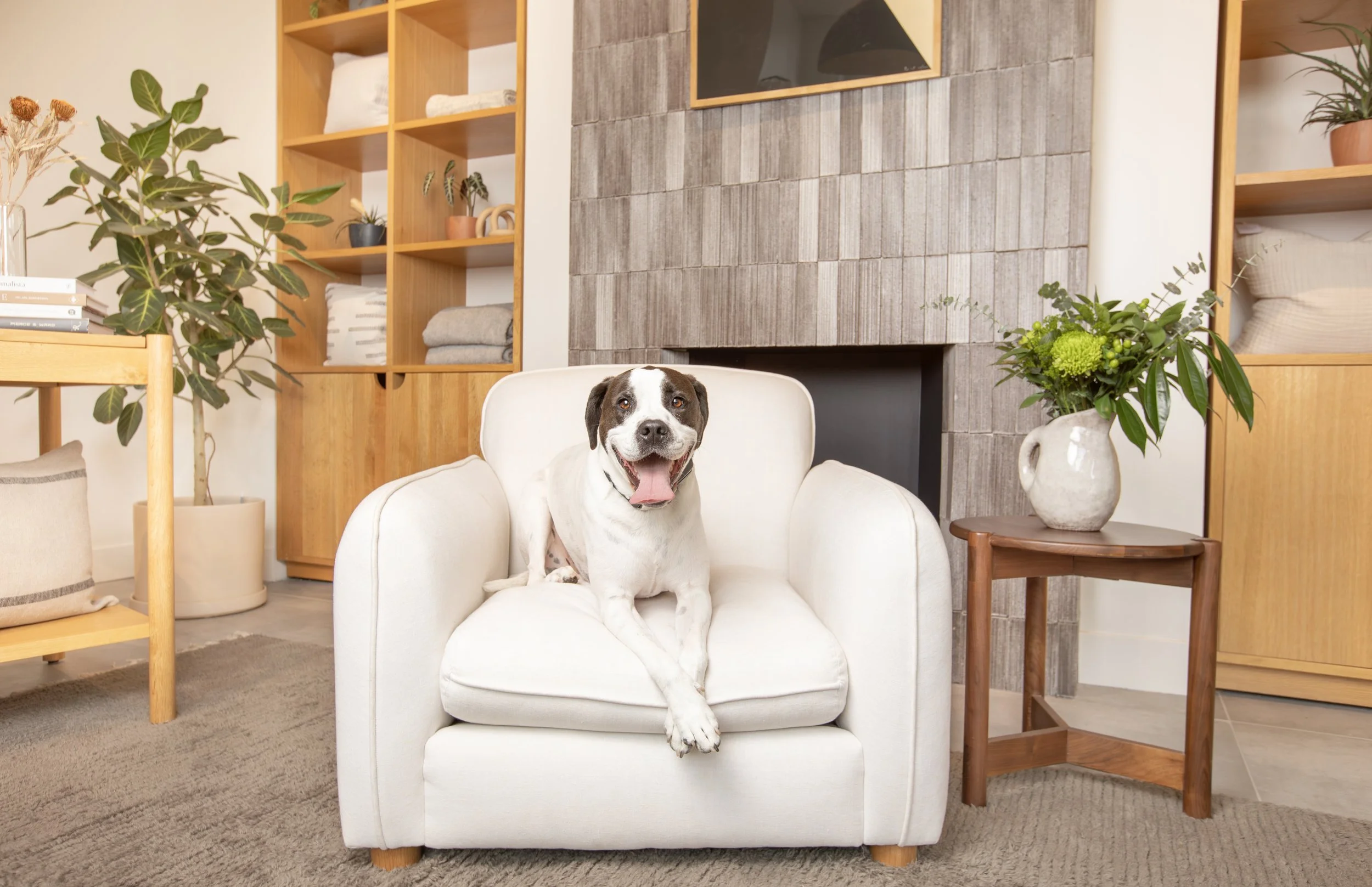 Columbus_Pet_Photography_Commercial_Shoot_2023.jpg
