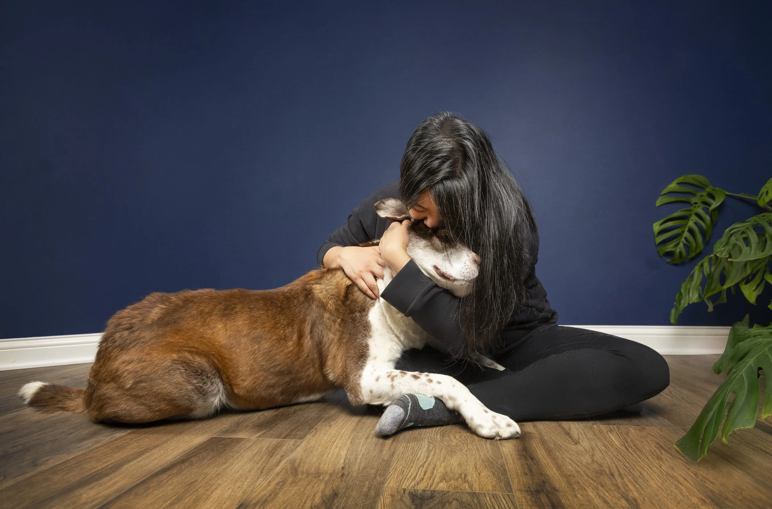 Woman embracing her terminally ill dog during an end of life photo shoot in Pataskala, Ohio