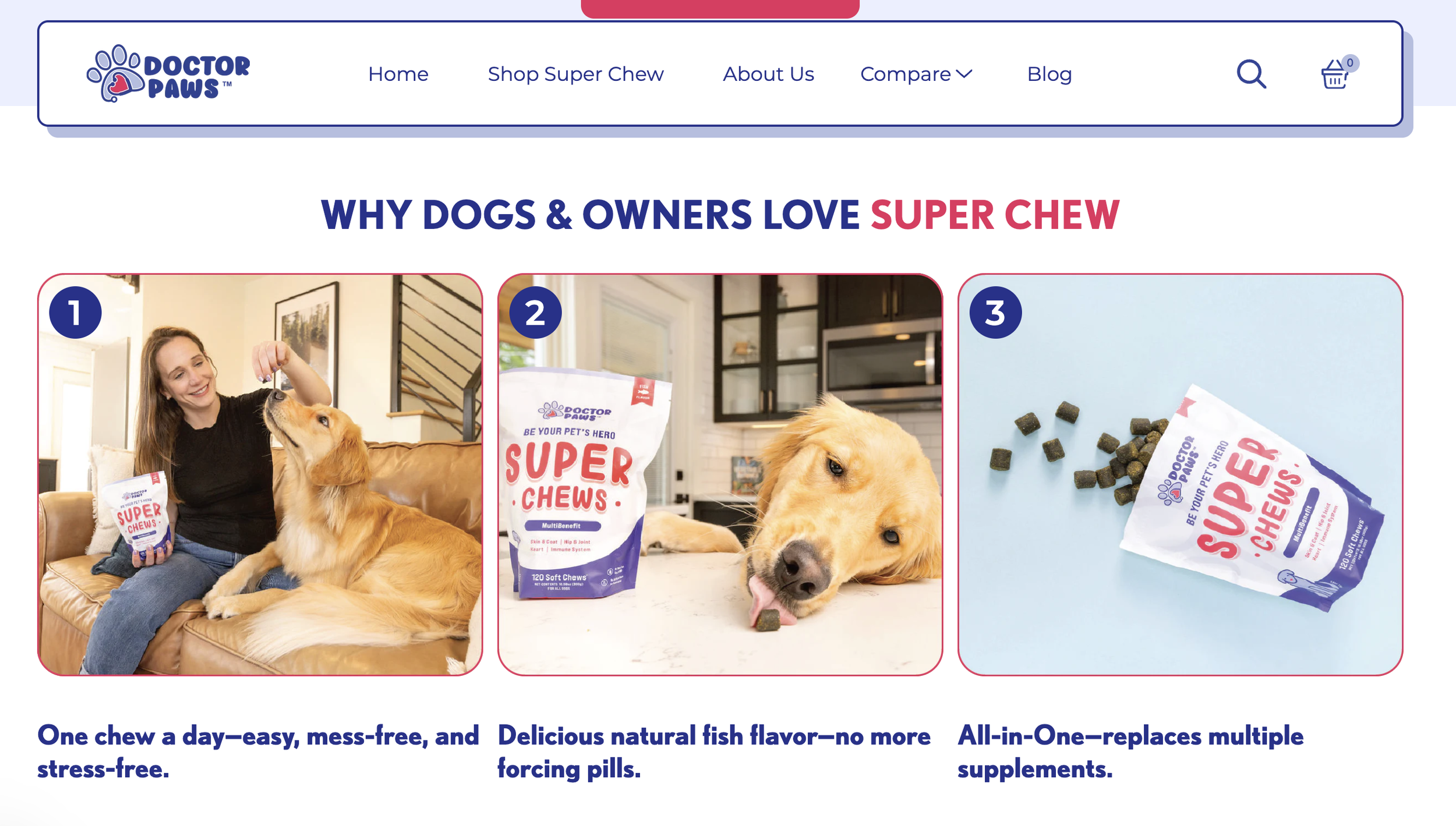 View of commercial pet photography in action at point of use on client's website