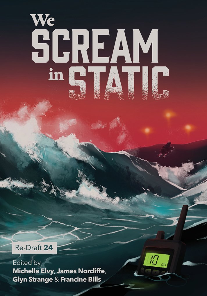 We Scream in Static Cover.jpg