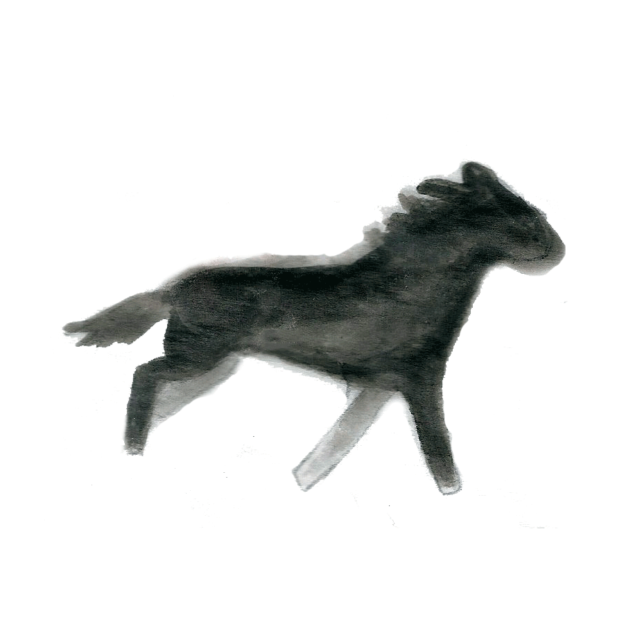 horse-copy.gif