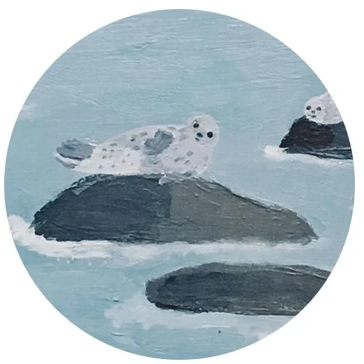 harborsealscirclecopy.jpg