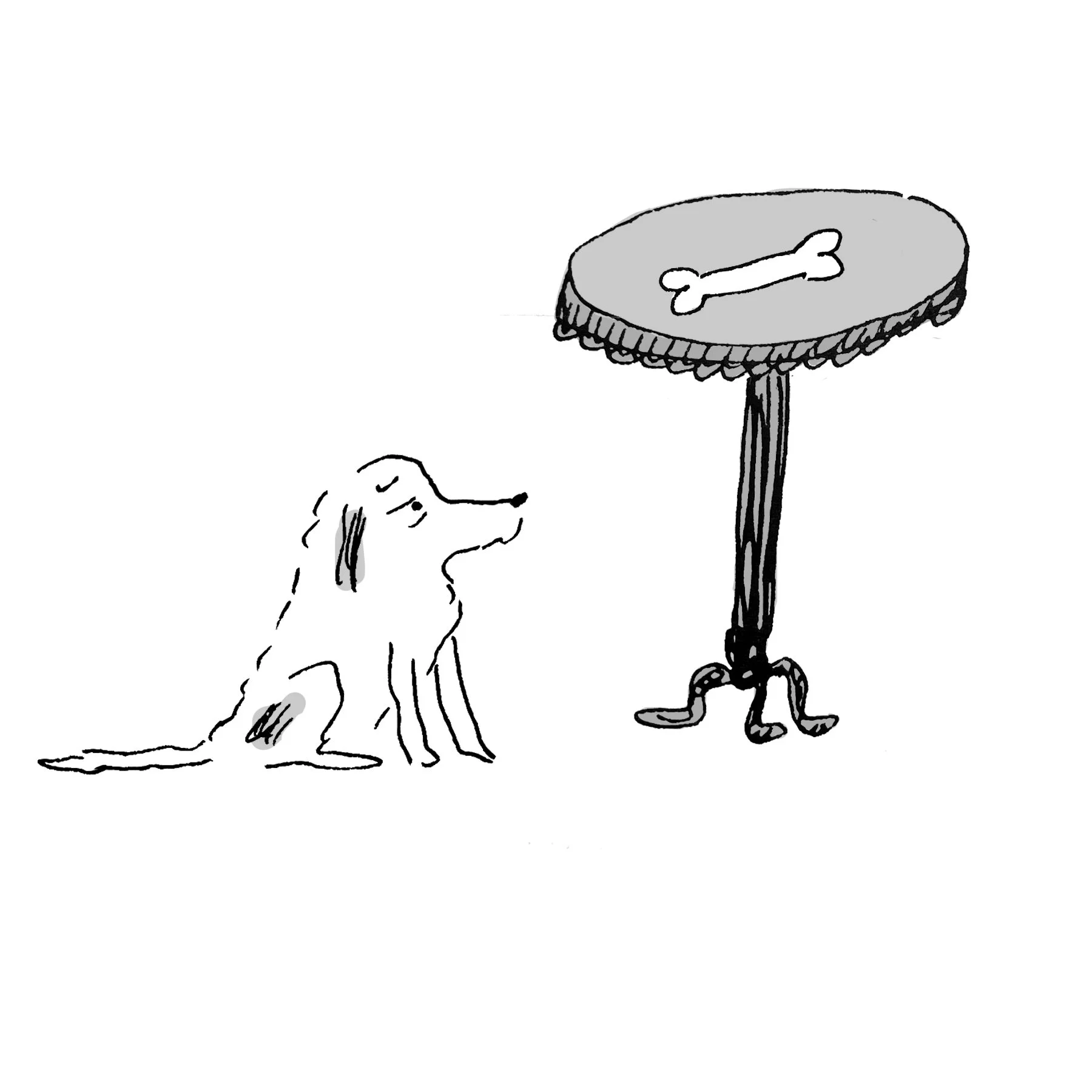 dog1copy.jpg