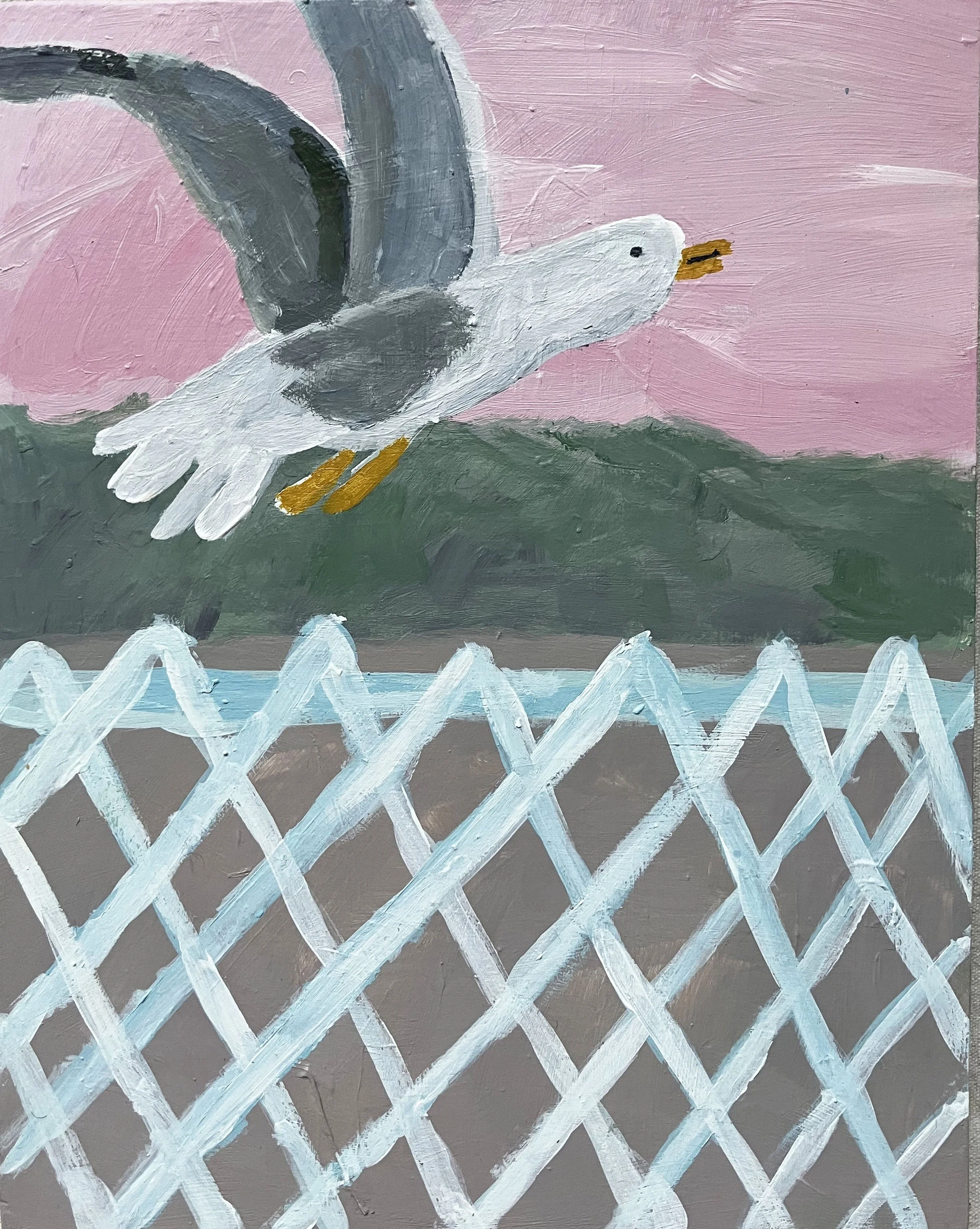 gull.jpg