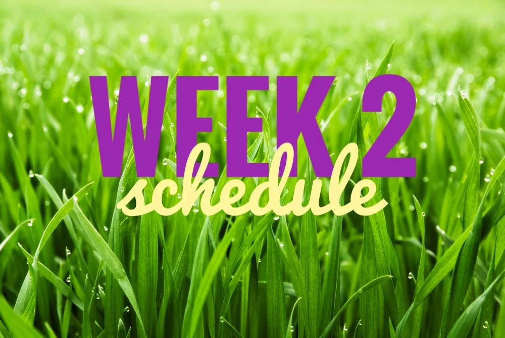 Week 2 #30Sketches Schedule