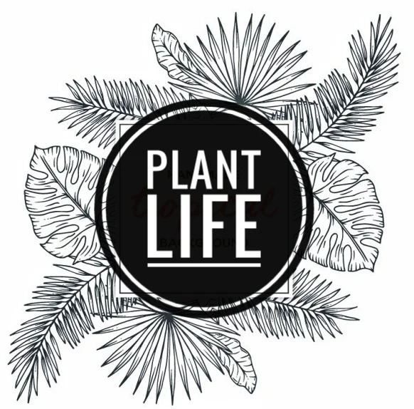 Day 8 - Plant life