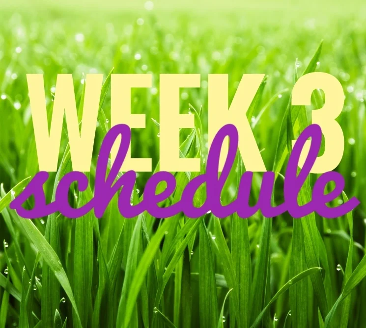 Week 3 #30Sketches Schedule