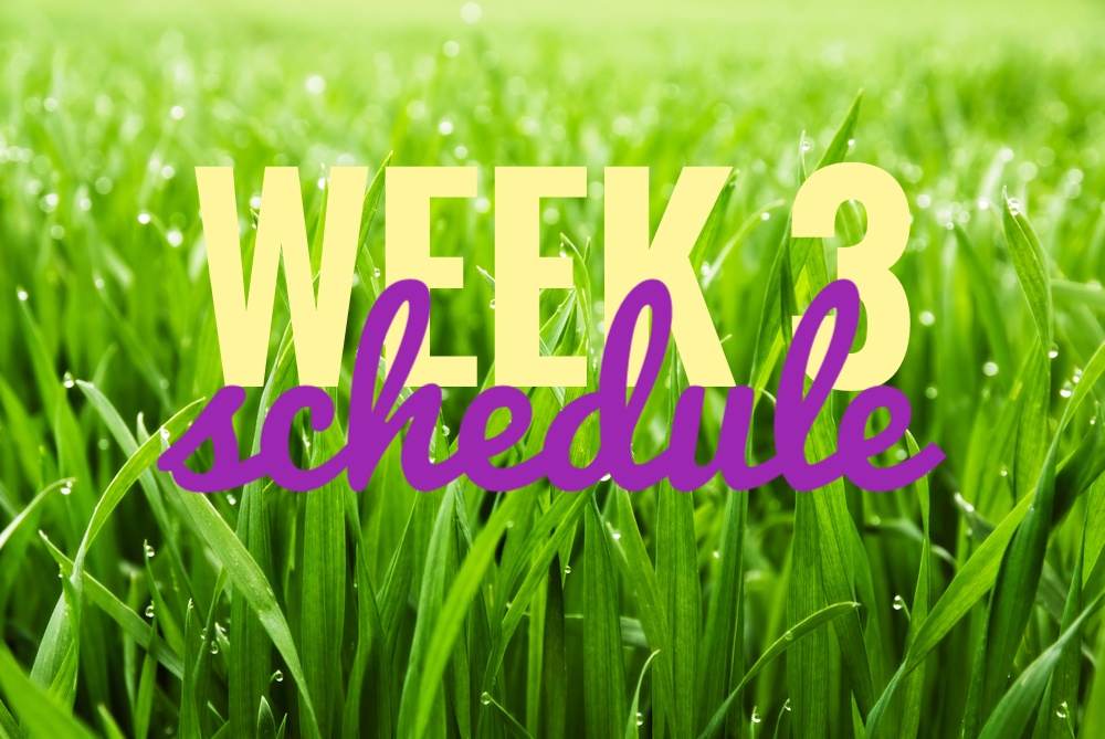 #30Sketches-Week3Schedule(1).jpeg