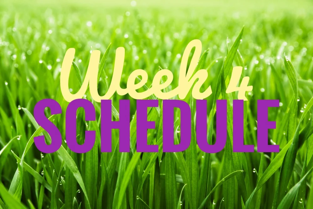 Week 4 #30Sketches Schedule