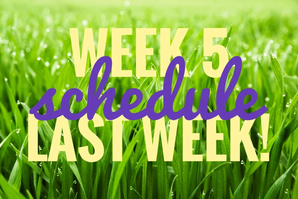 Week 5 #30Sketches Schedule