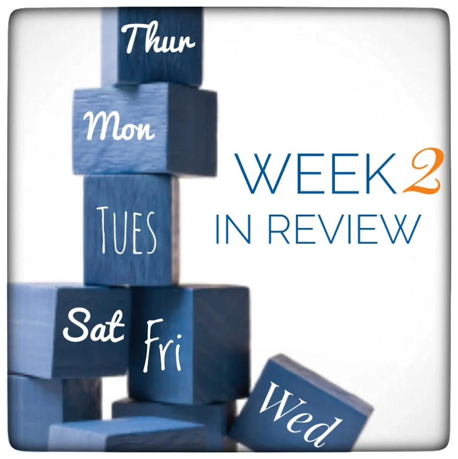 Day 11 - Weekly Check in